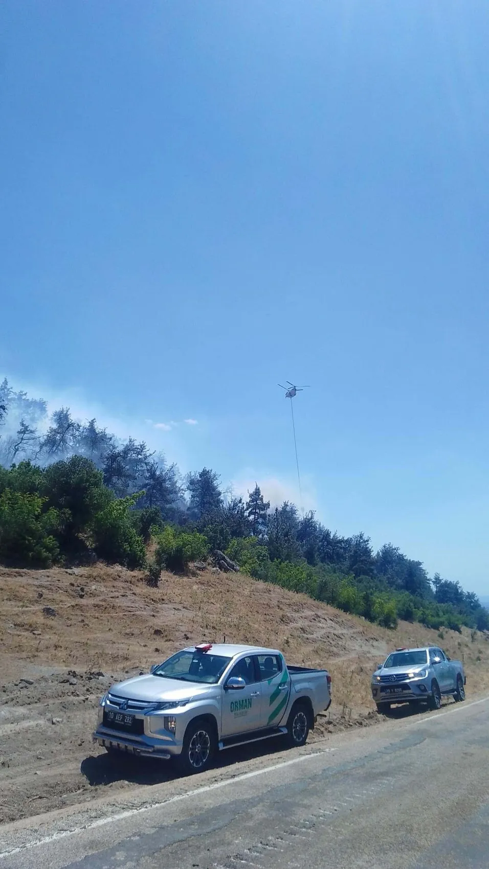 Balıkesir'de orman yangınları kontrol altına alındı