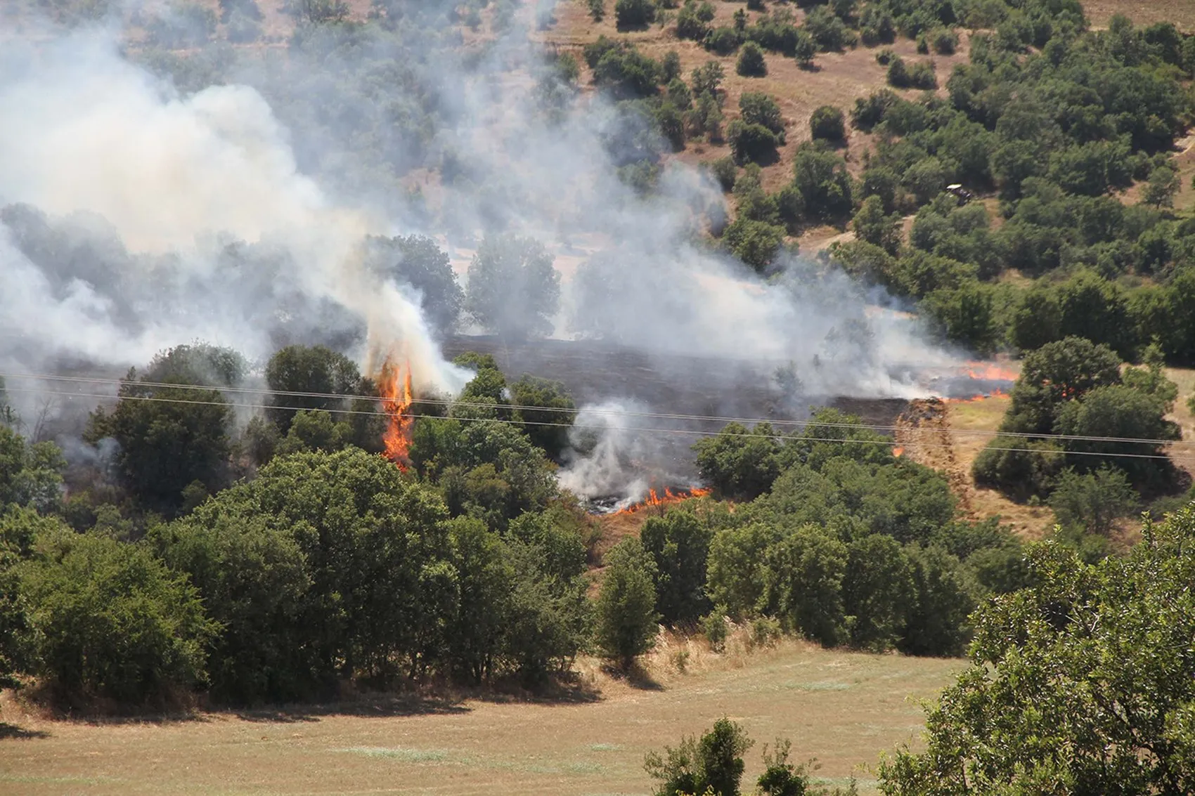 Manisa Kula orman yangınıyla sarsıldı