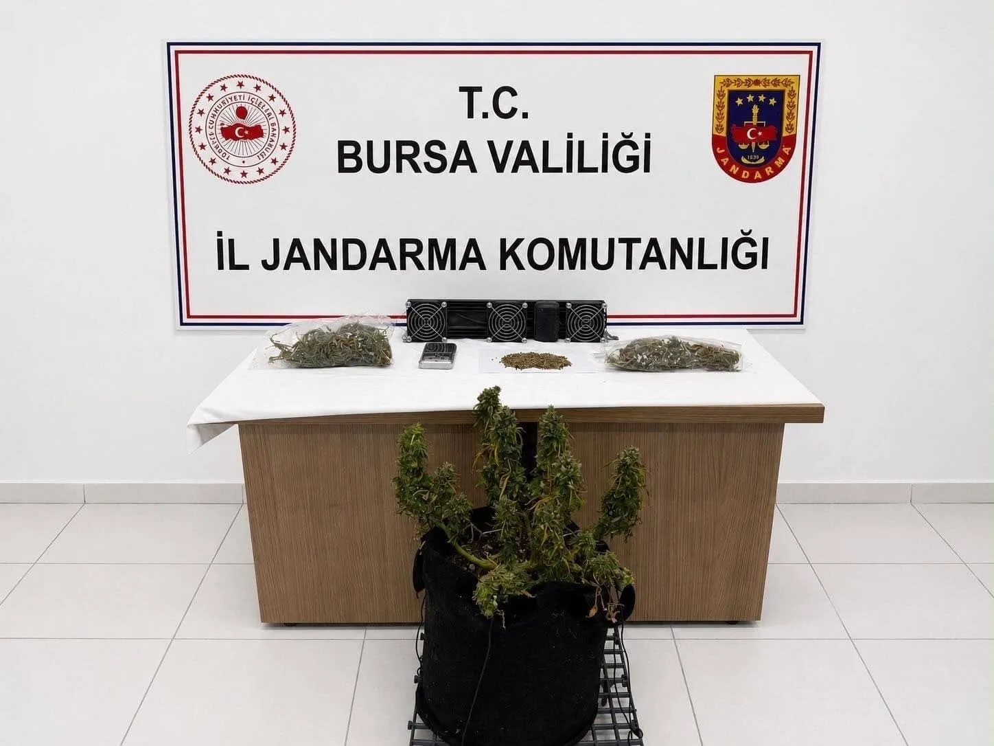 Bursa jandarmasından üç ilçede eş zamanlı uyuşturucu baskını