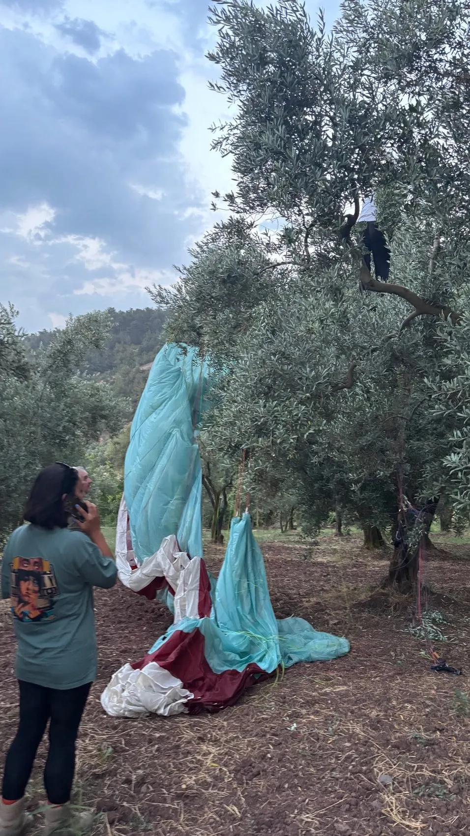 Orhangazi'de yamaç paraşütçüleri zeytin ağacına takıldı