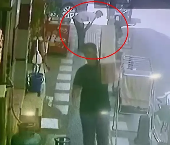 Kızıltepe'de kafes hırsızlığı Papağanı böyle çaldılar