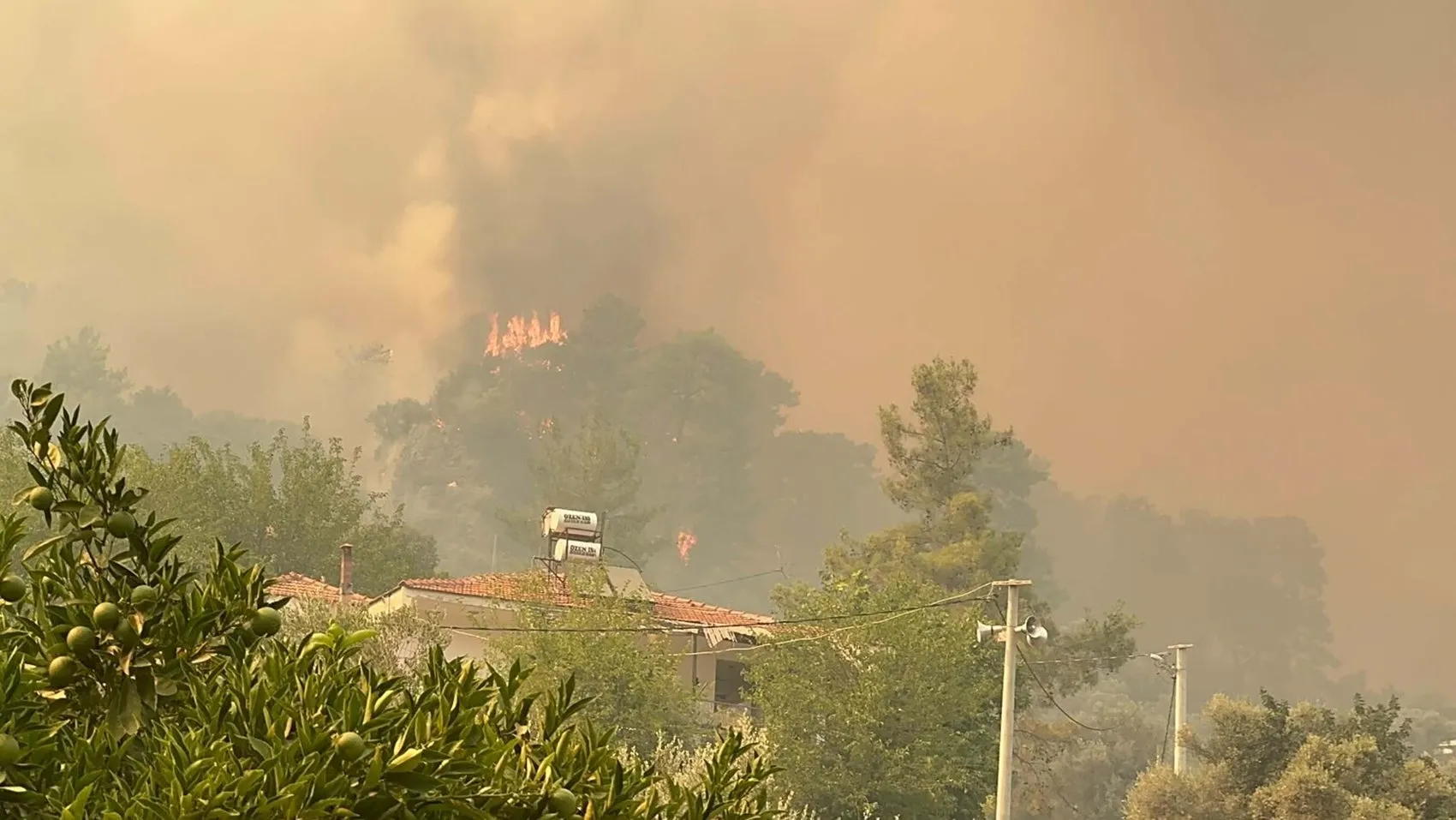 Fethiye’de orman yangını evlere sıçradı