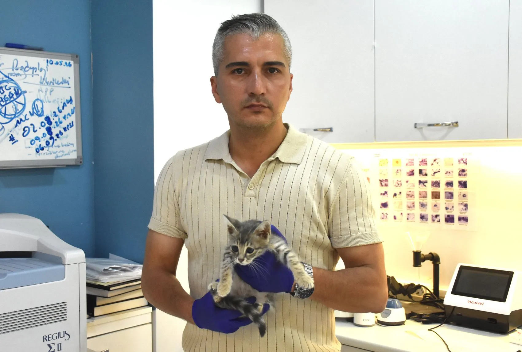 Sivaslı minik kedinin göz sağlığı için modern çözüm