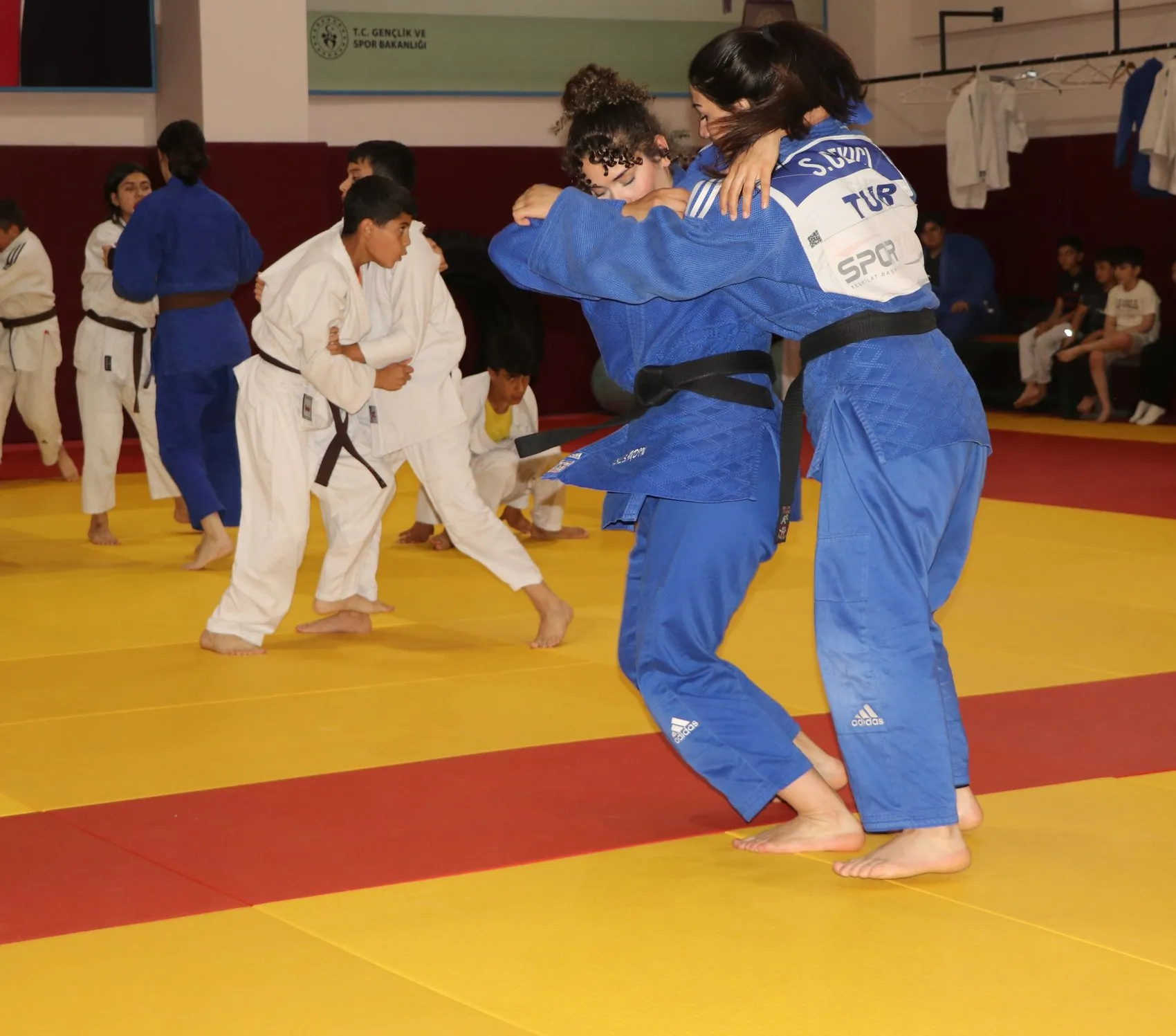 Vanlı milli sporcuların yeni hedefi Avrupa ve dünya kürsüleri