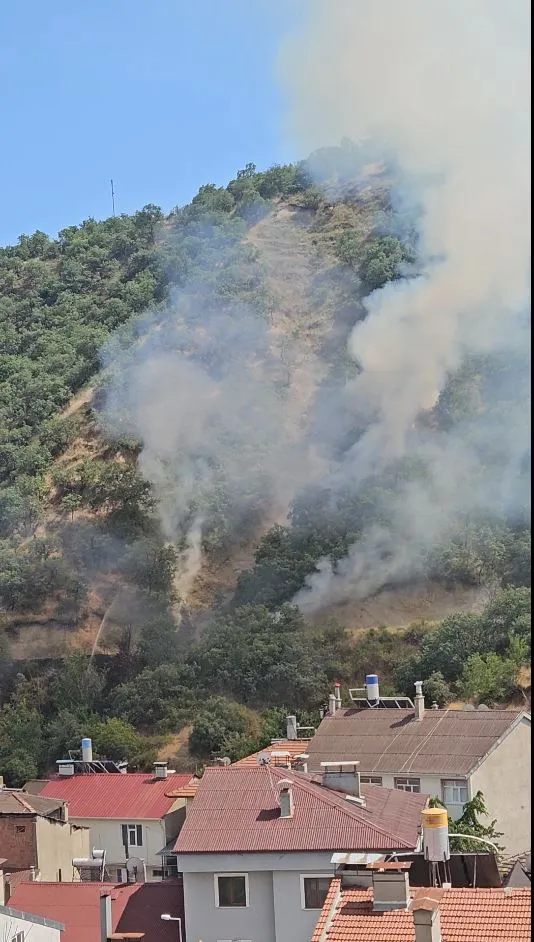 Tosya’da yerleşim yerine yakın noktada orman yangını paniği