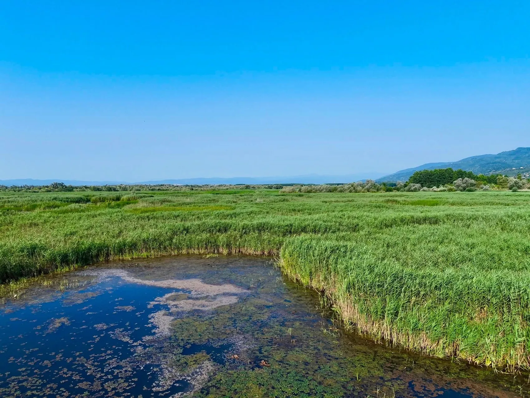 Düzce’nin saklı cenneti yazın rengini değiştirdi