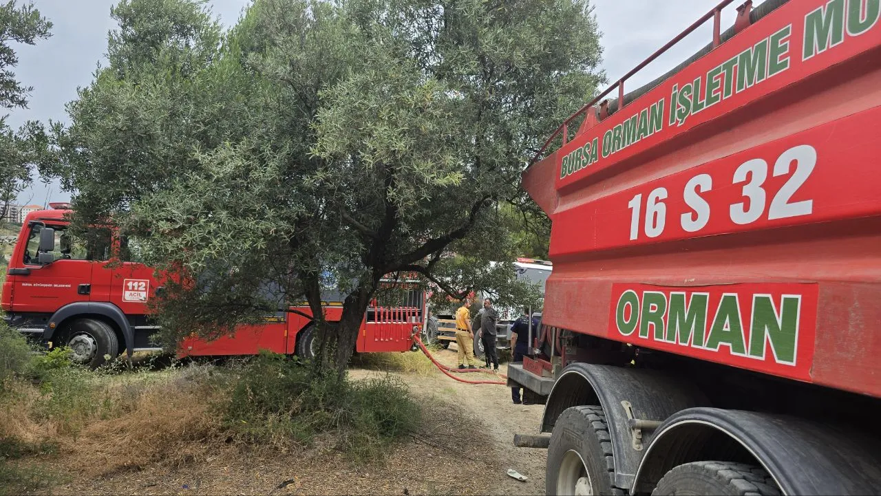 Mudanya'da bahçeden sıçrayan alevler dört dönümü küle çevirdi