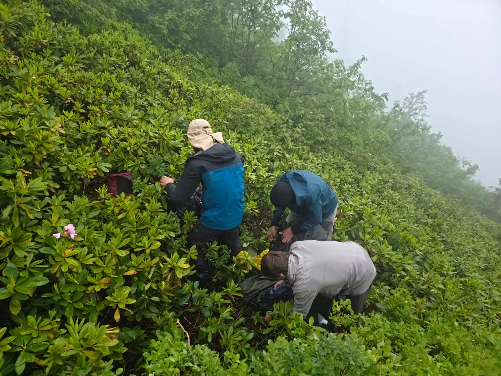 Rize’de sis yüzünden mahsur kalan turistleri ekipler kurtardı