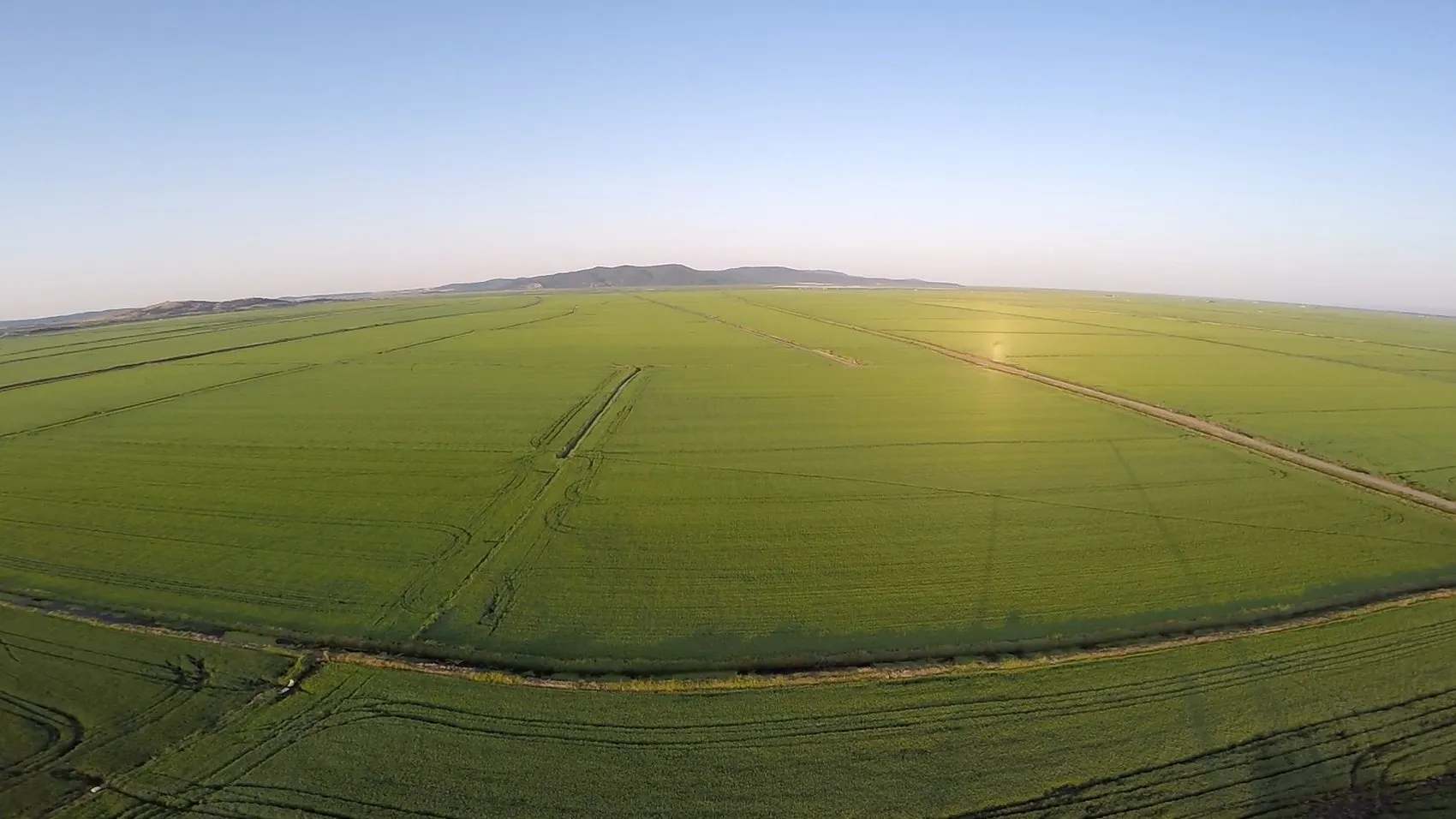 Edirne ovasında pirinç mesaisi yeşil bir tabloya dönüştü