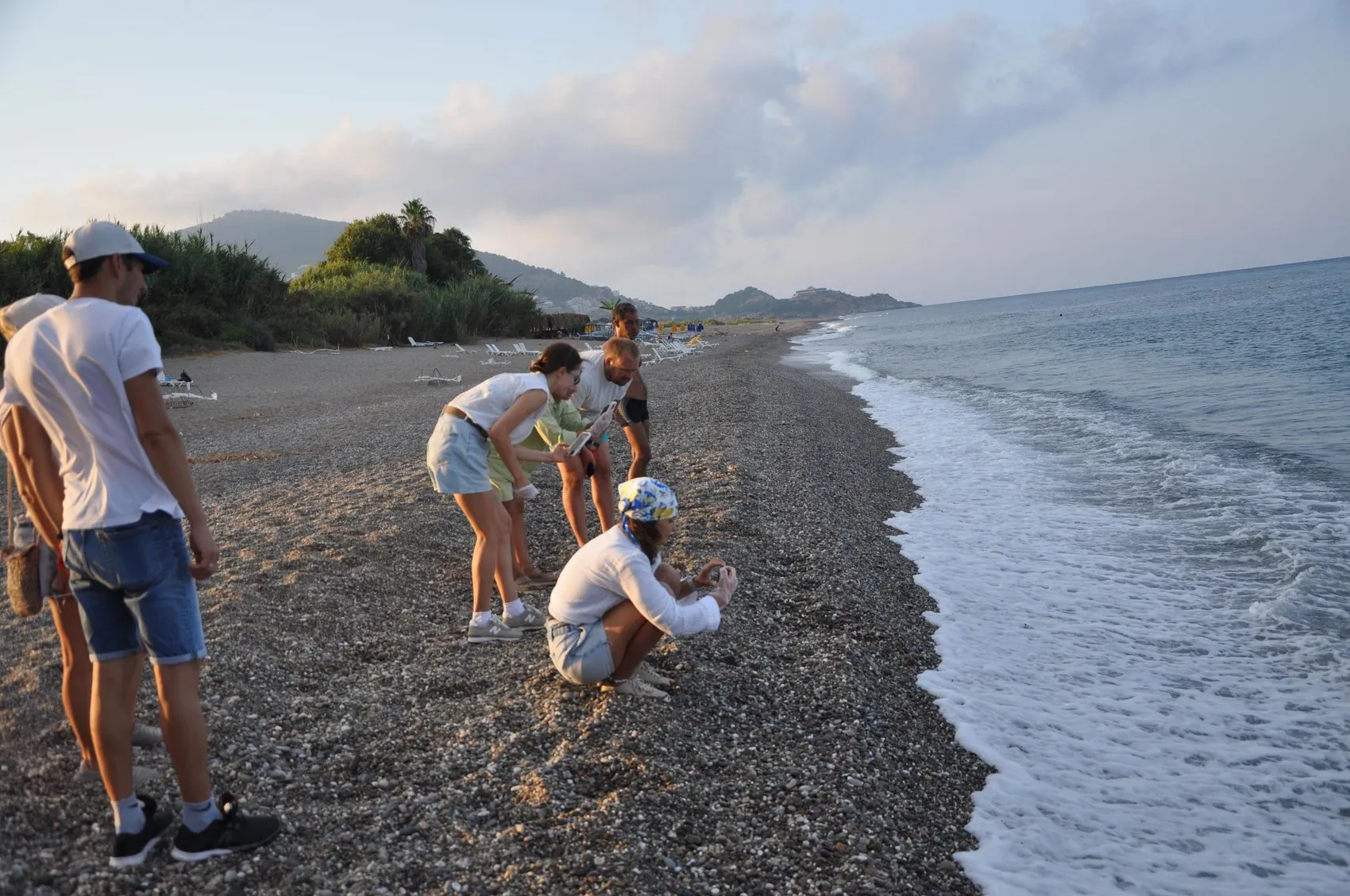 Antalya sahillerinde caretta caretta seferberliği