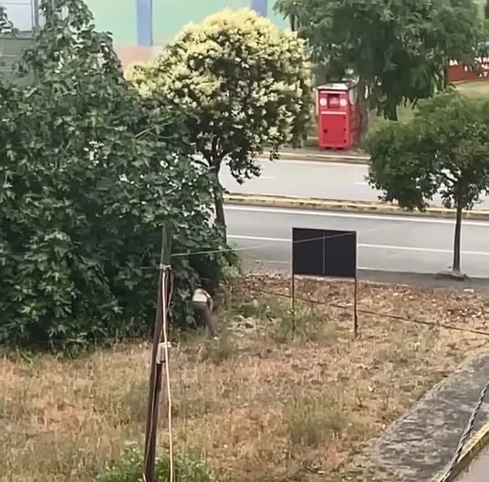 Gölcük’te dehşet anları Yeğen dayısını palayla katletti