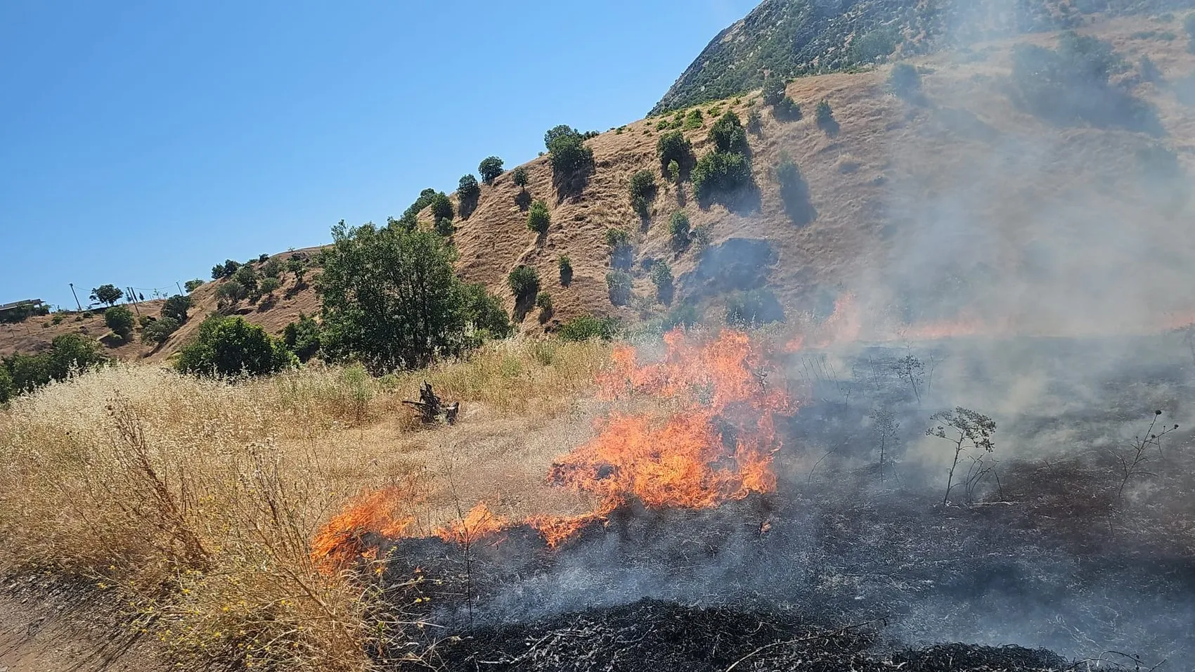 Dicle’de tarım arazisinde yangın alarmı