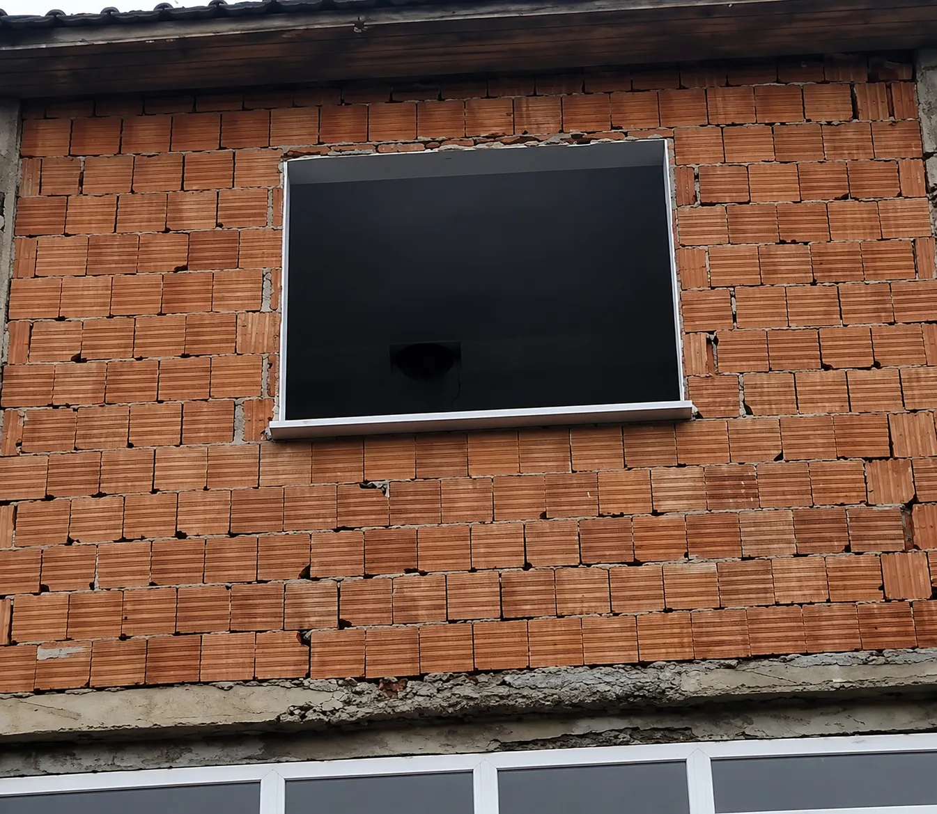 Ordu'da bir ev sahibi kuş yavruları için inşaatı durdurdu