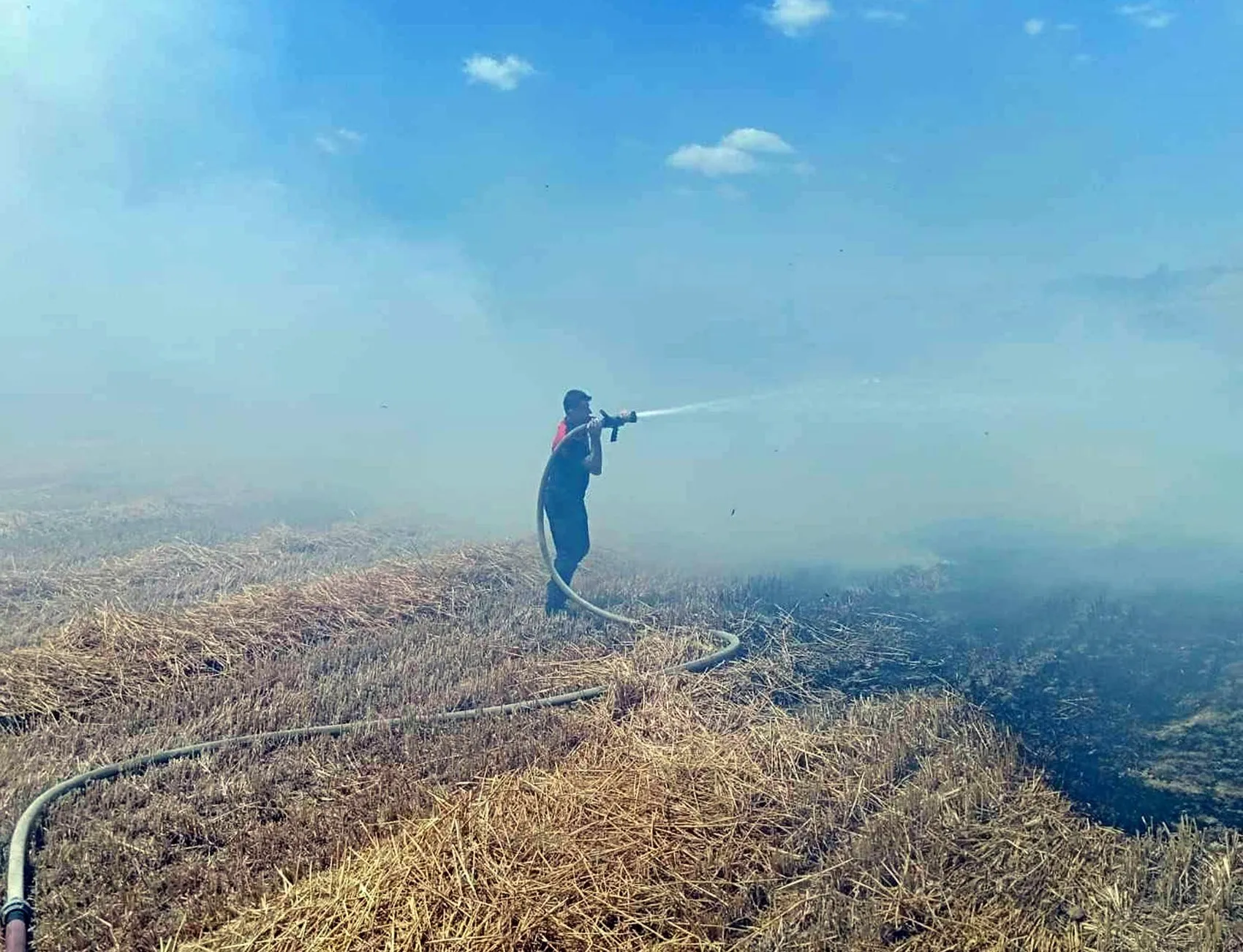 Keşan'da buğday tarlasında çıkan yangın 100 dekarı küle çevirdi