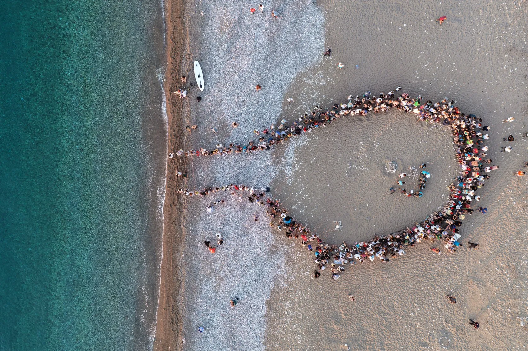 Çıralı sahili küçük caretta carettalara ev sahipliği yapıyor