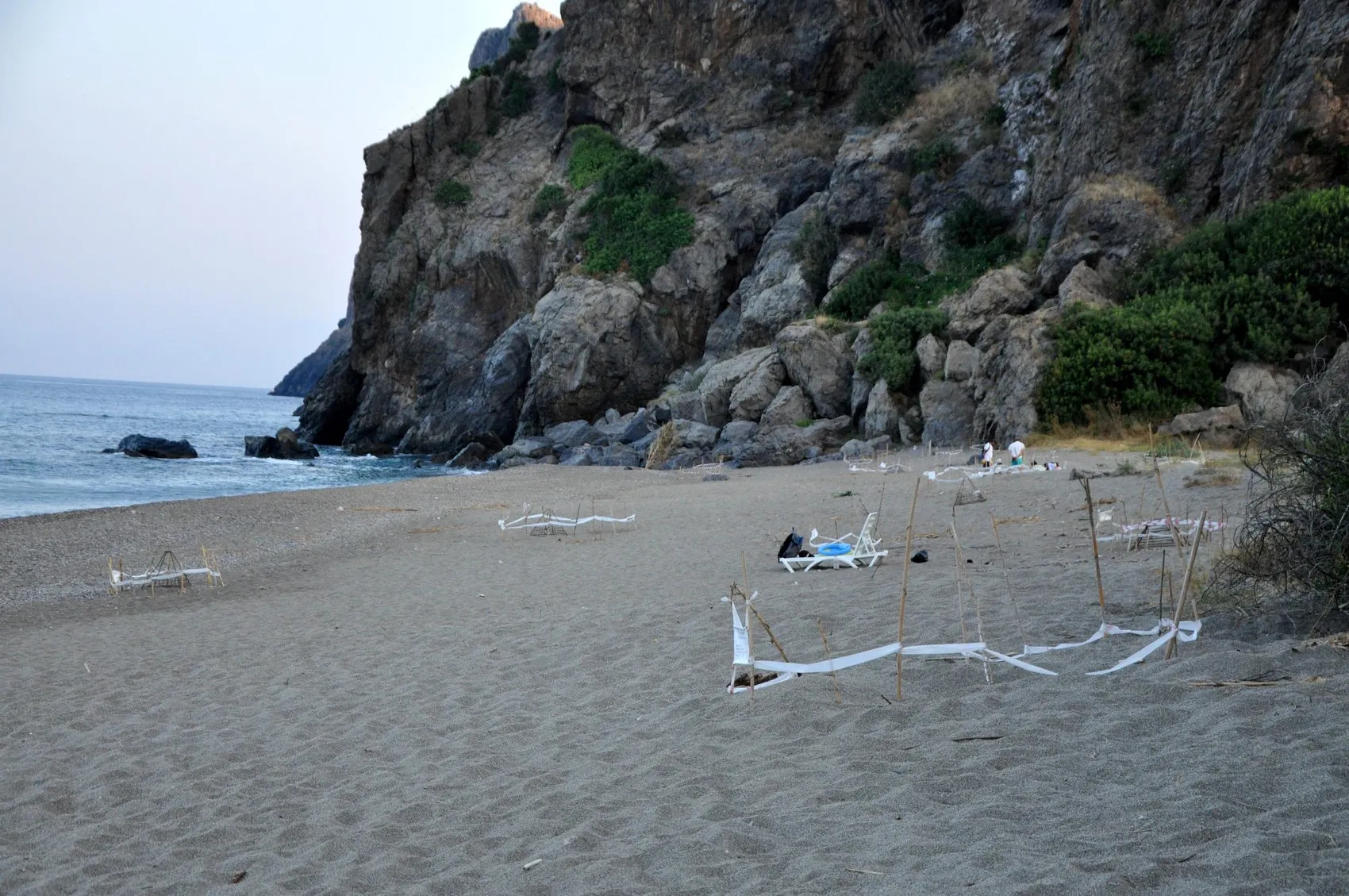 Antalya sahillerinde caretta caretta seferberliği