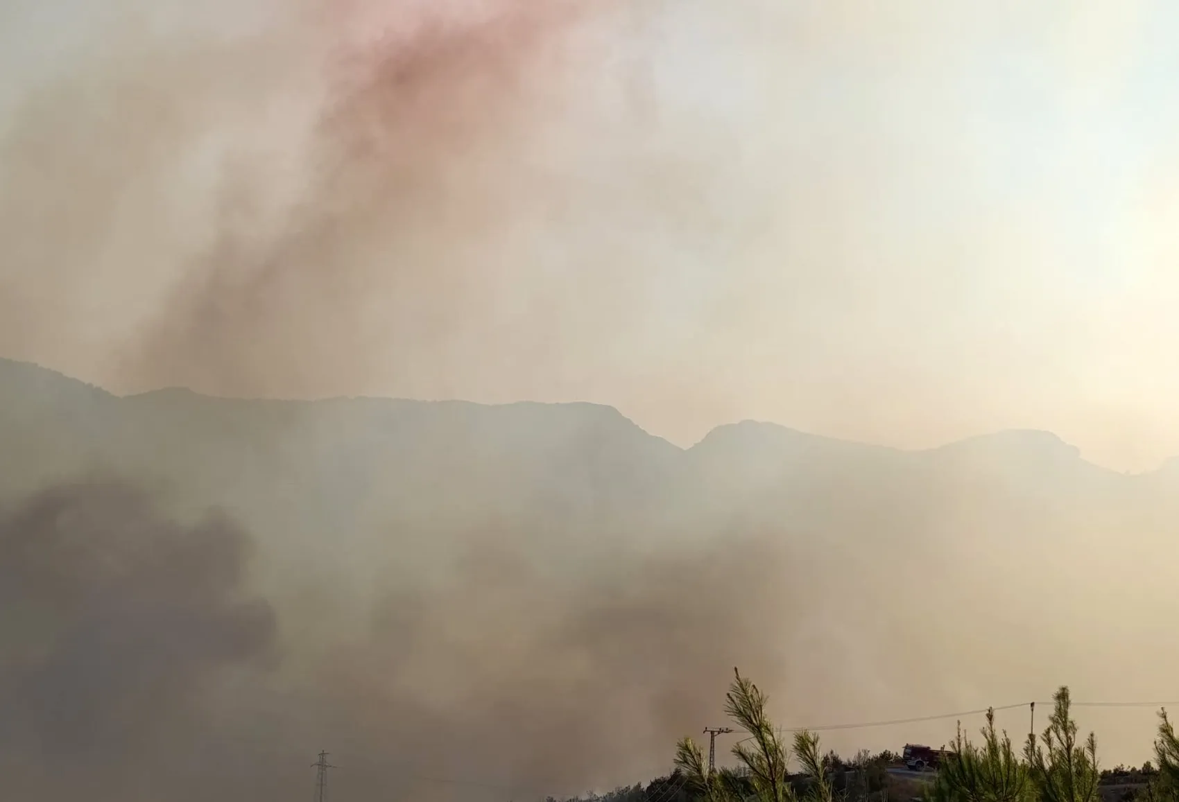 Alanya Sapadere'de orman yangını paniği