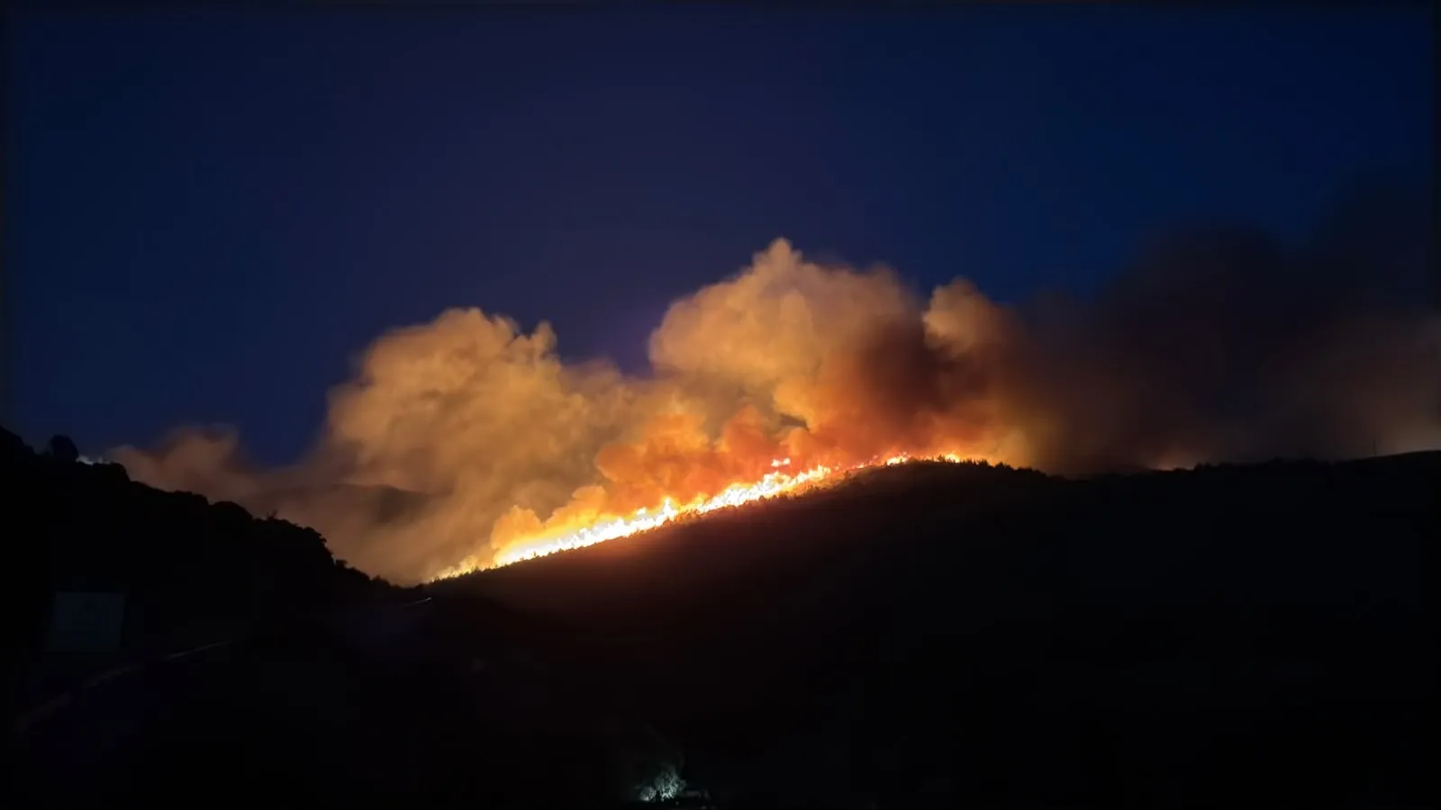 Milas alevlere teslim 1120 kişi bölgeden tahliye edildi