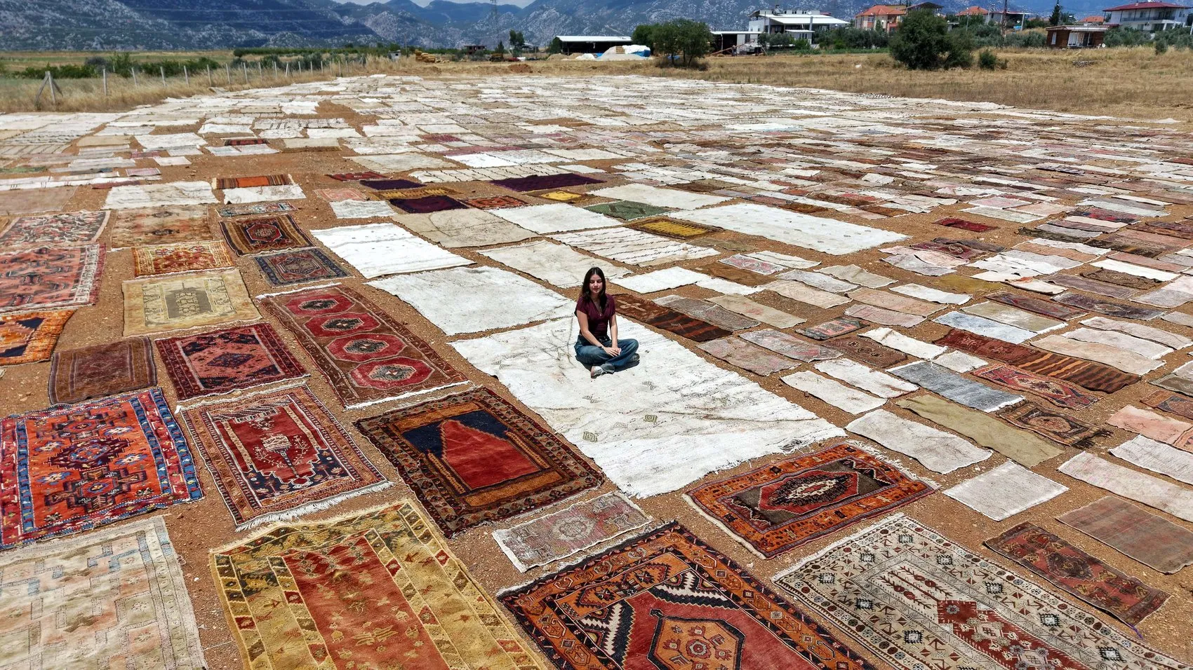 Antalya tarlalarında güneşle değerlenen halılar dünyaya satılıyor