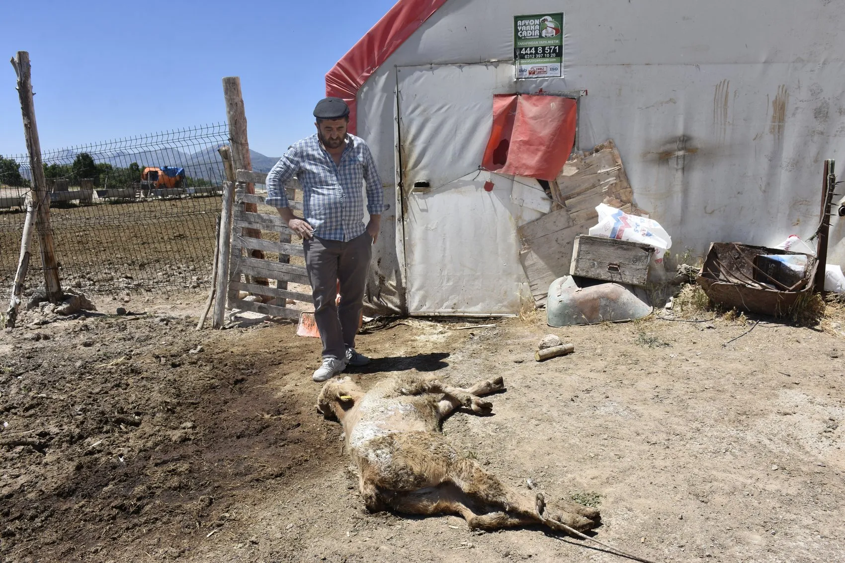 Sivas'ta mangal kömürü dumanı hayvancılığı bitirdi