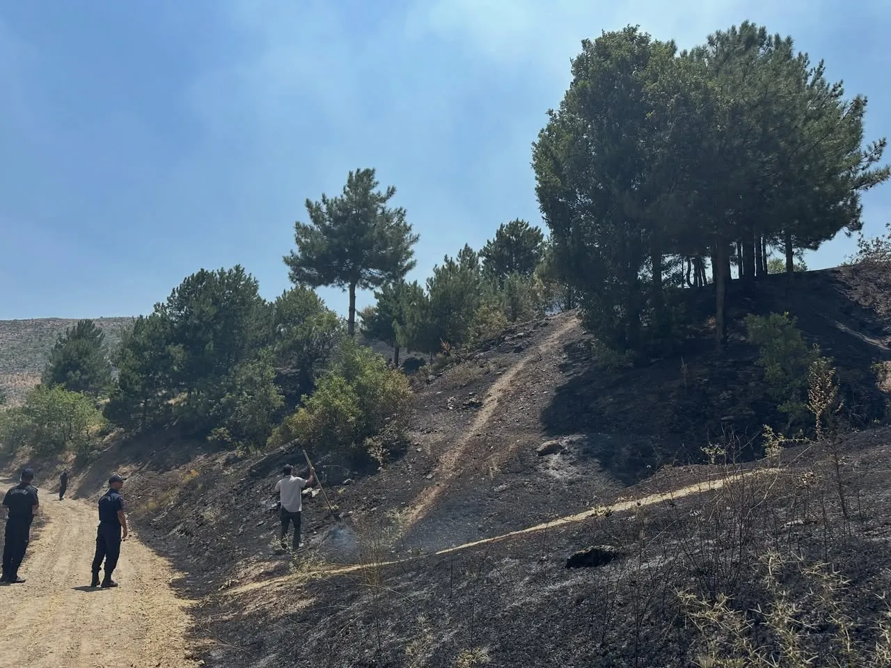 Adıyaman Sincik’te orman yangını paniği