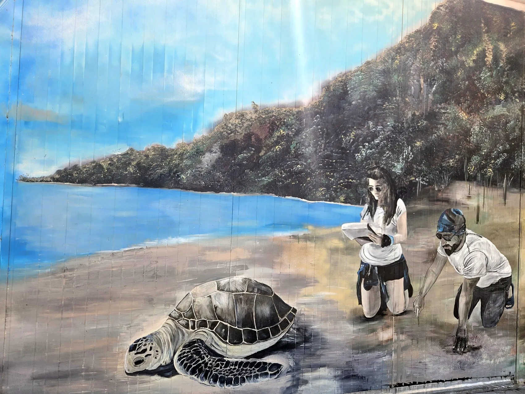 Antalya sahillerinde caretta nöbeti başladı