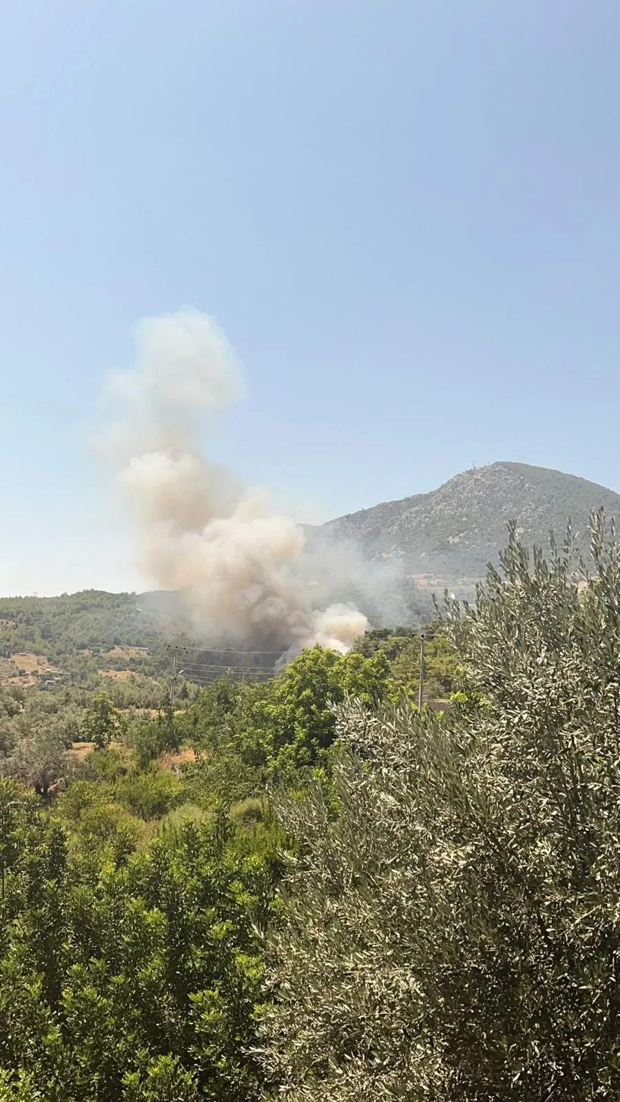 Kumluca Yazır Mahallesi ormanlık alanında yangın paniği