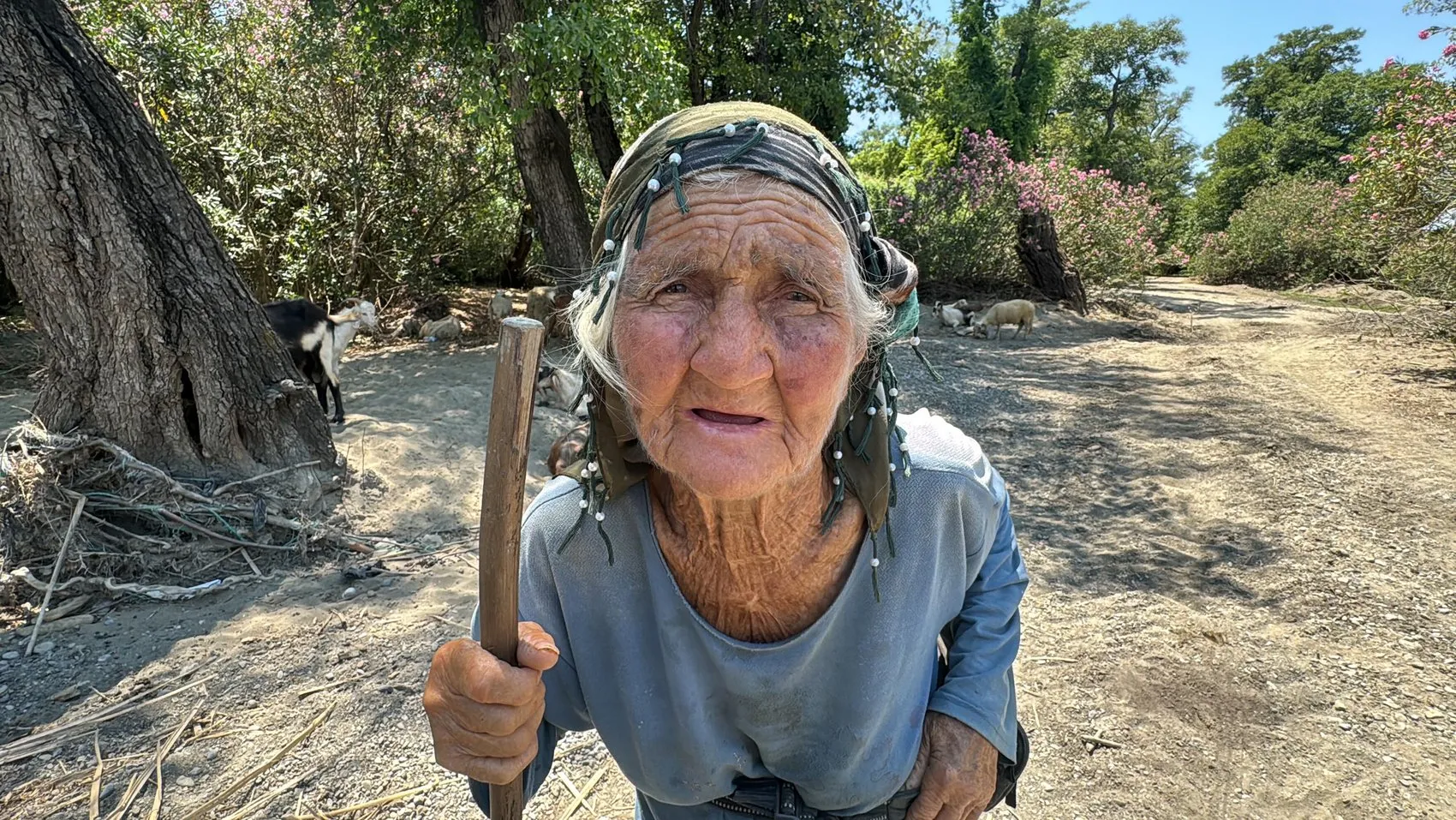 Muğla’da 90 yaşında bir kadın her gün sürüsüyle meraya çıkıyor