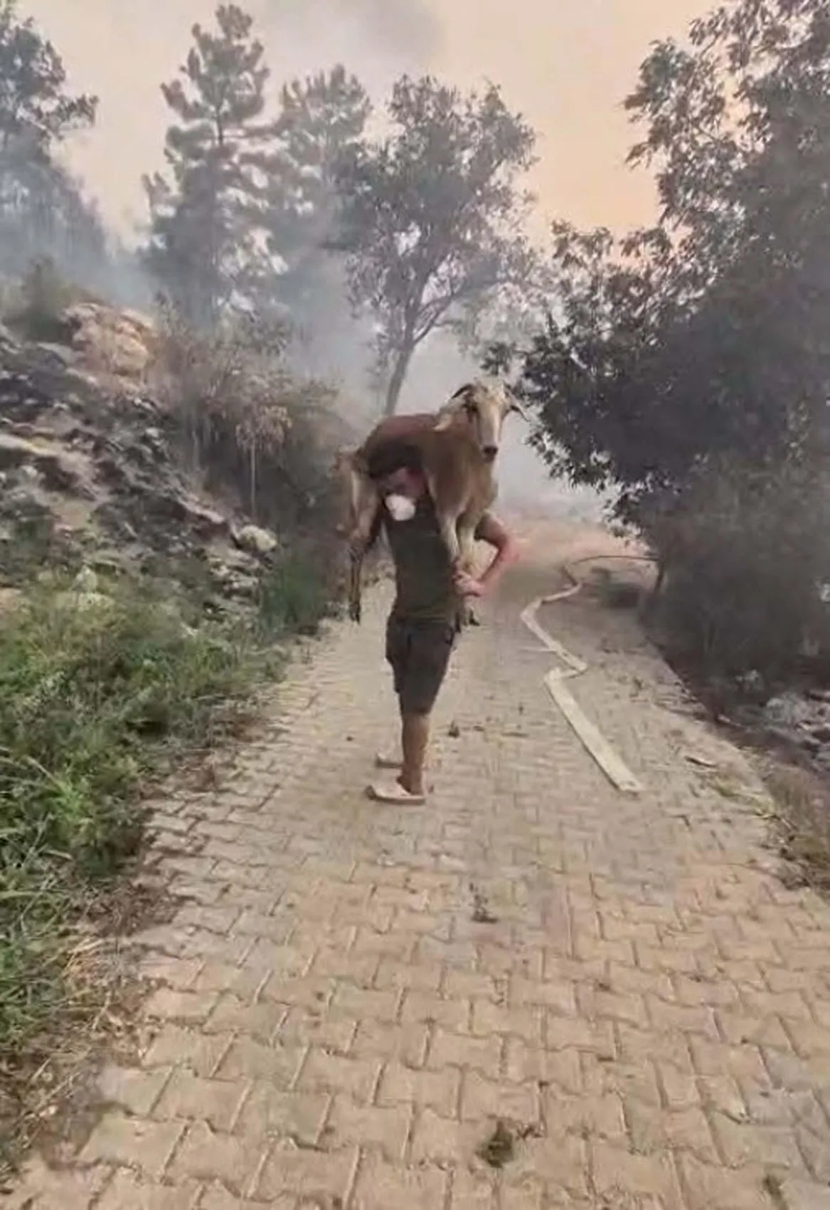 Seydikemer yangınında duygulandıran kurtarma anları