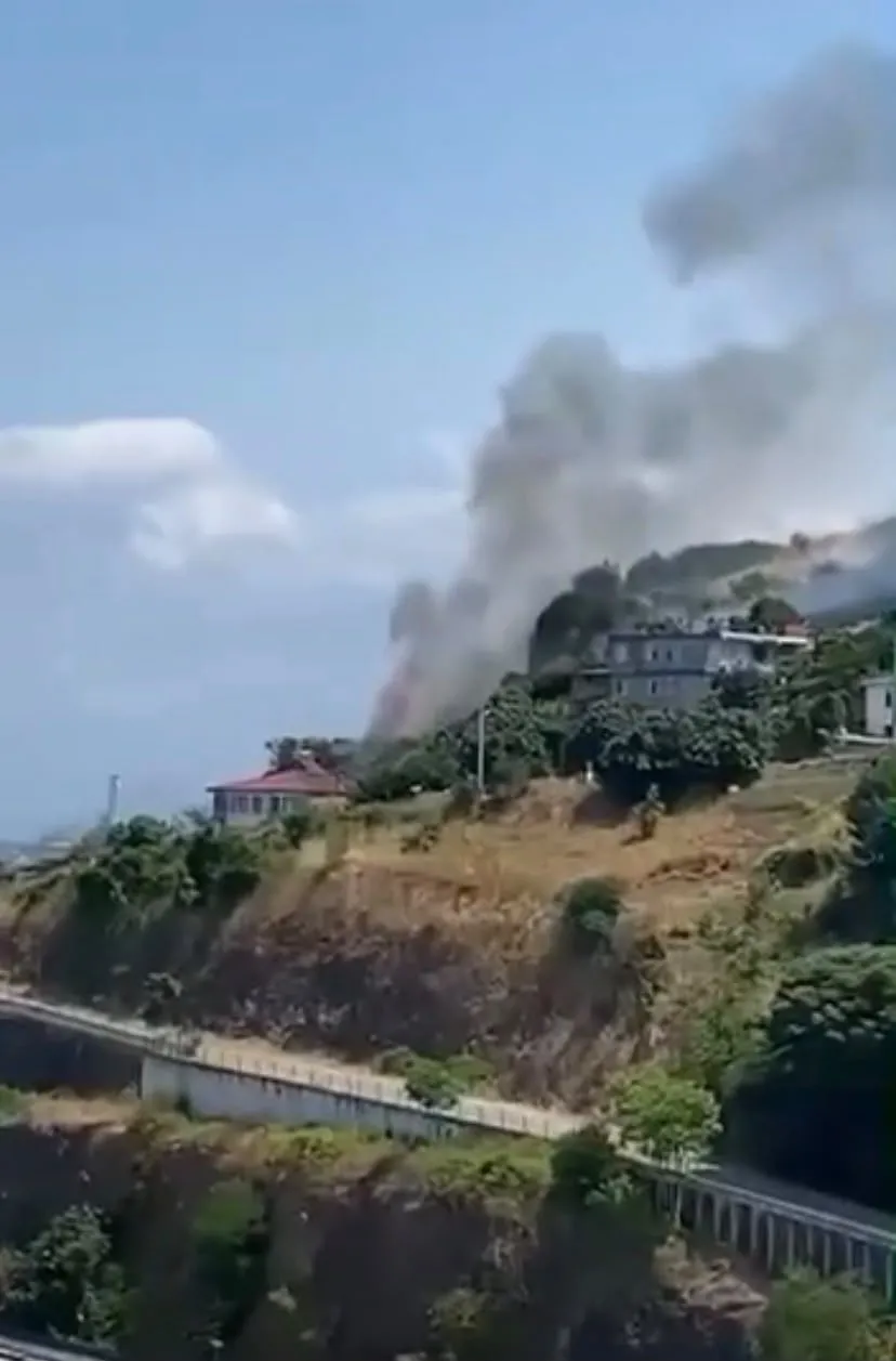 Samsun Canik’te ormanlık alanda korkutan dumanlar