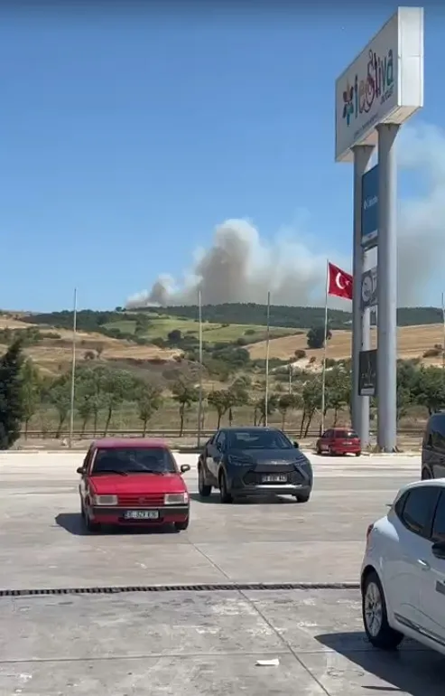 Susurluk ormanlarında dumanlar yükseliyor