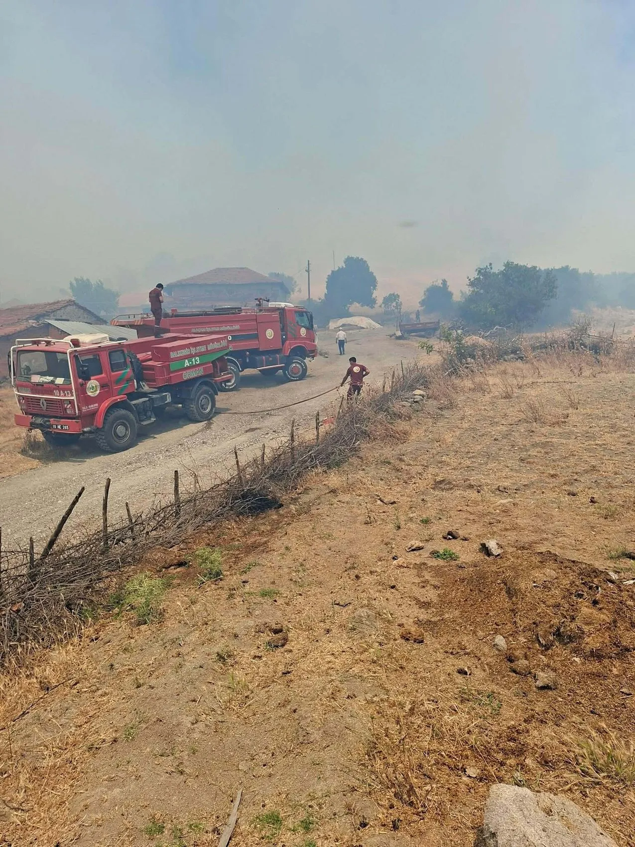 Balıkesir'de orman yangınları kontrol altına alındı