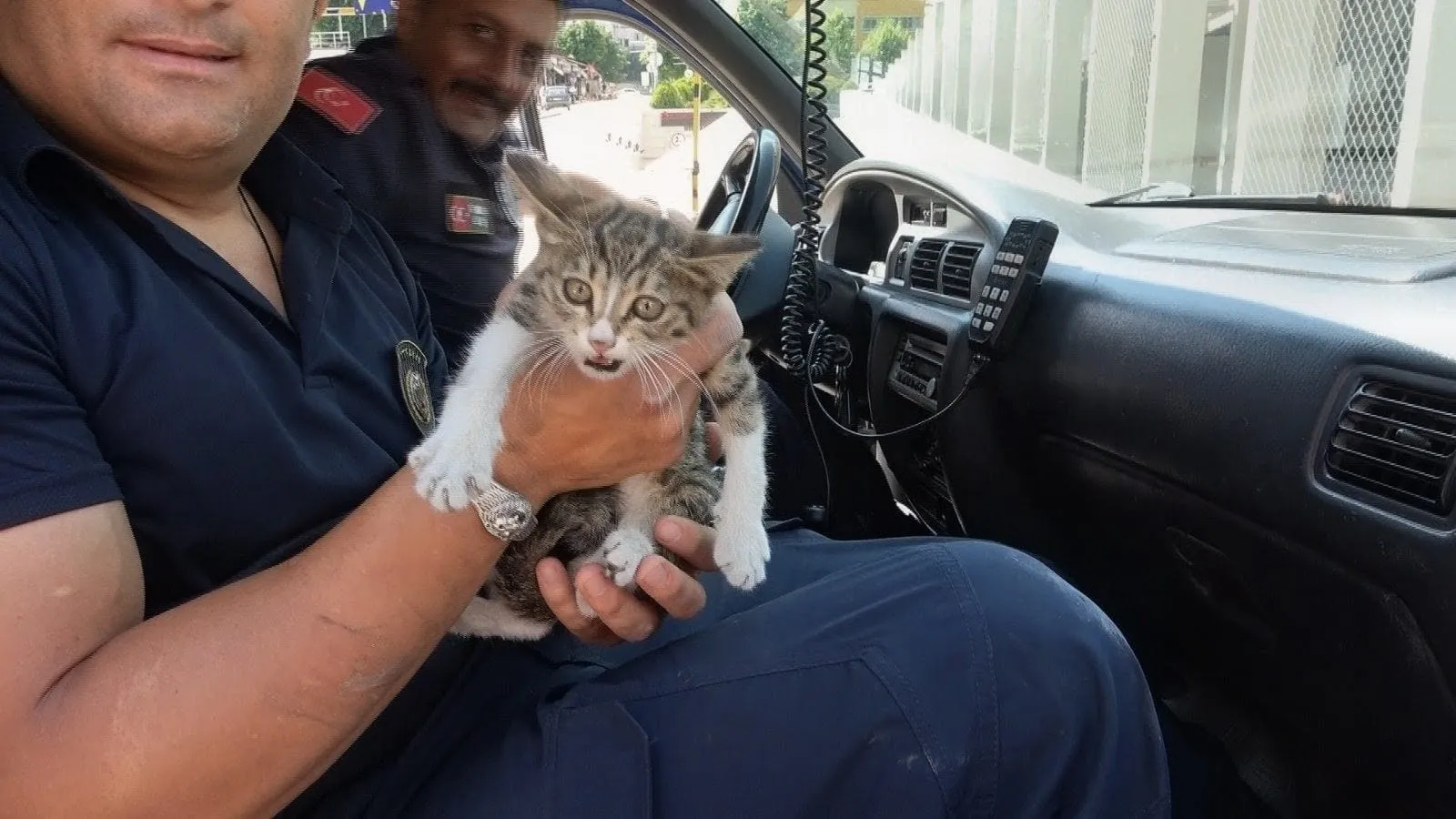 Amasya'da otomobilin motoruna sıkışan kediye itfaiye müdahalesi