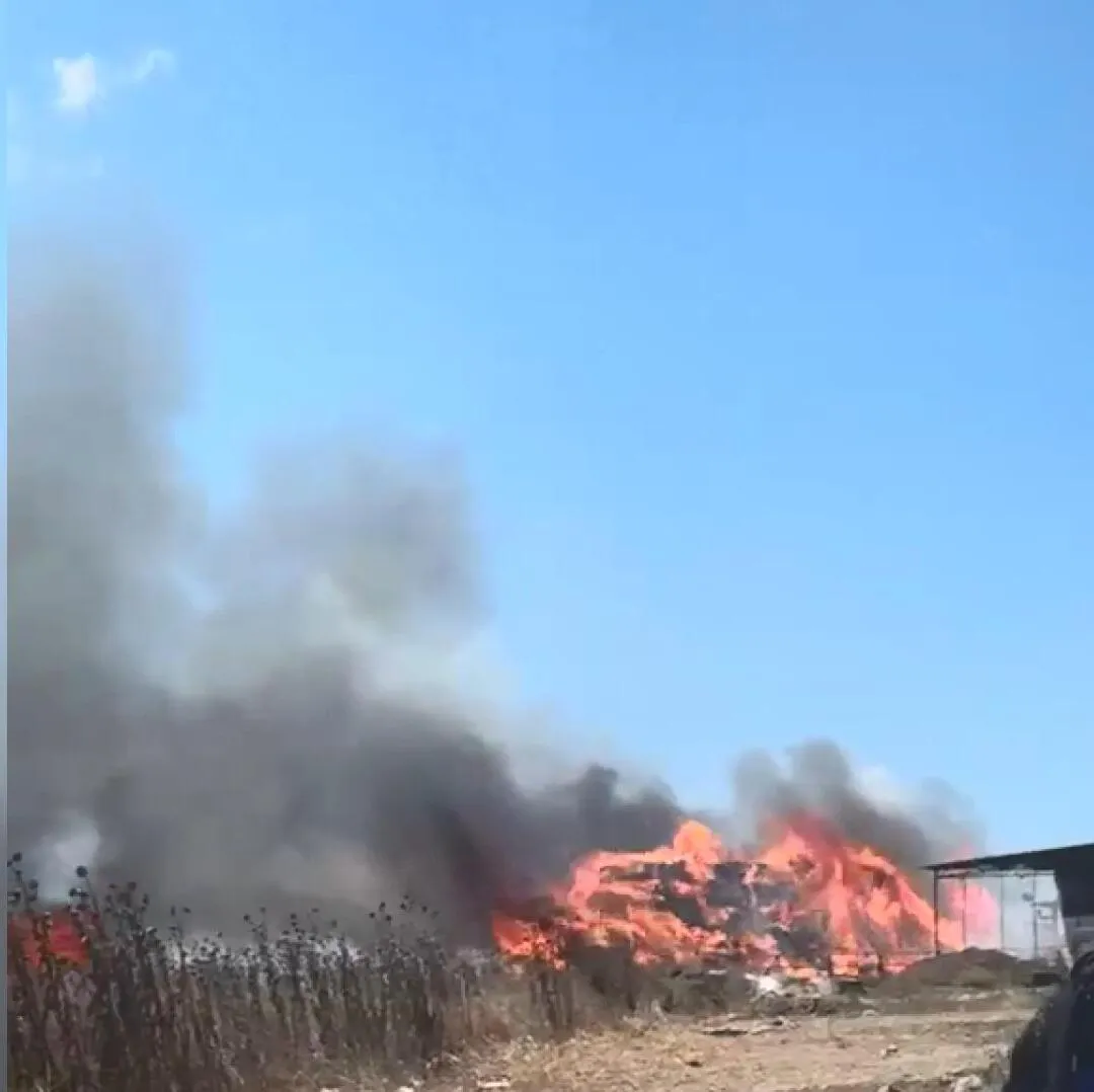 Çatalca’da otluk alanda çıkan yangın ağaçlara sıçradı