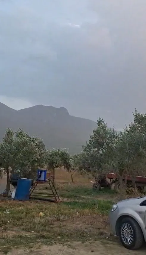 Orhangazi'de yamaç paraşütçüleri zeytin ağacına takıldı