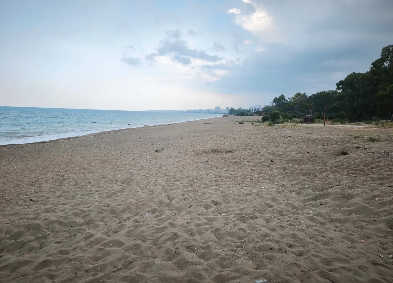 Akdeniz’de Caretta Caretta’ların yumurtlama mesaisi iki hafta rötar yaptı