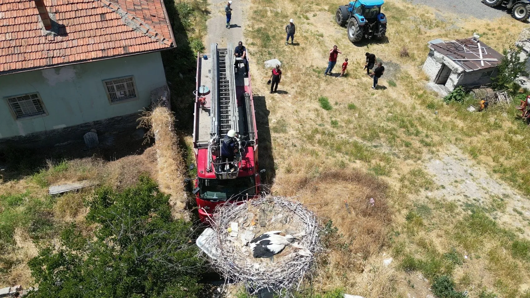 İp yumağına dönen yavru leyleği itfaiye kurtardı