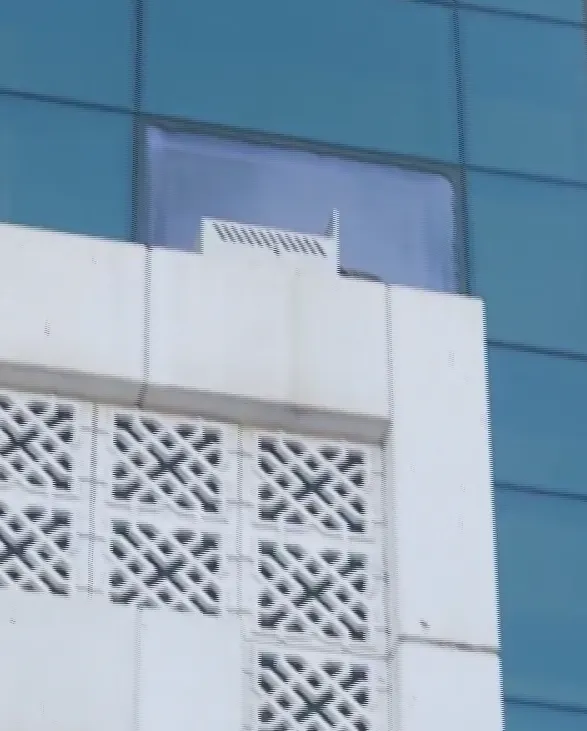 Konya'da 16 metre yükseklikteki kedi mama tuzağıyla kurtarıldı