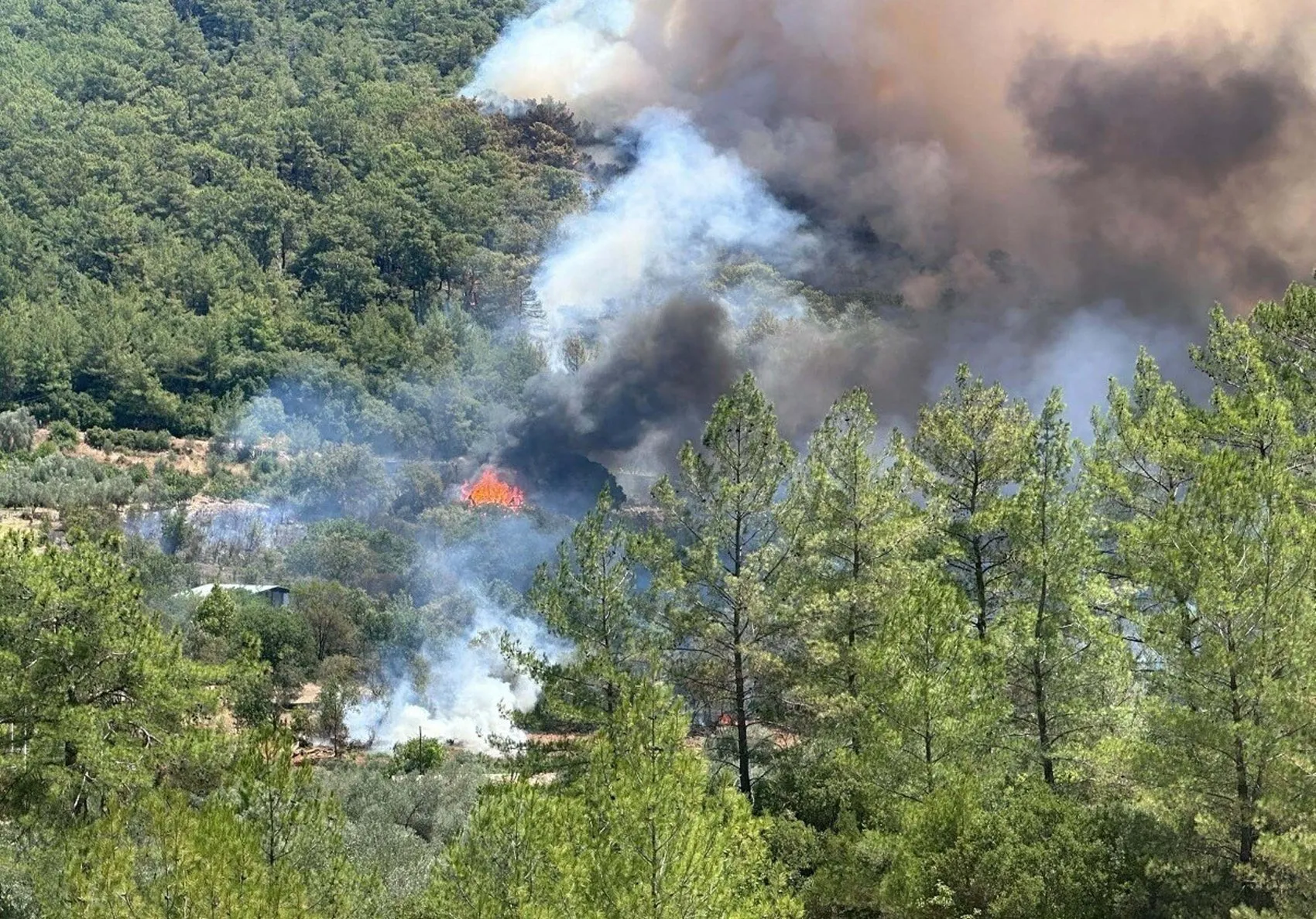 Fethiye Göcek'te orman yangını paniği