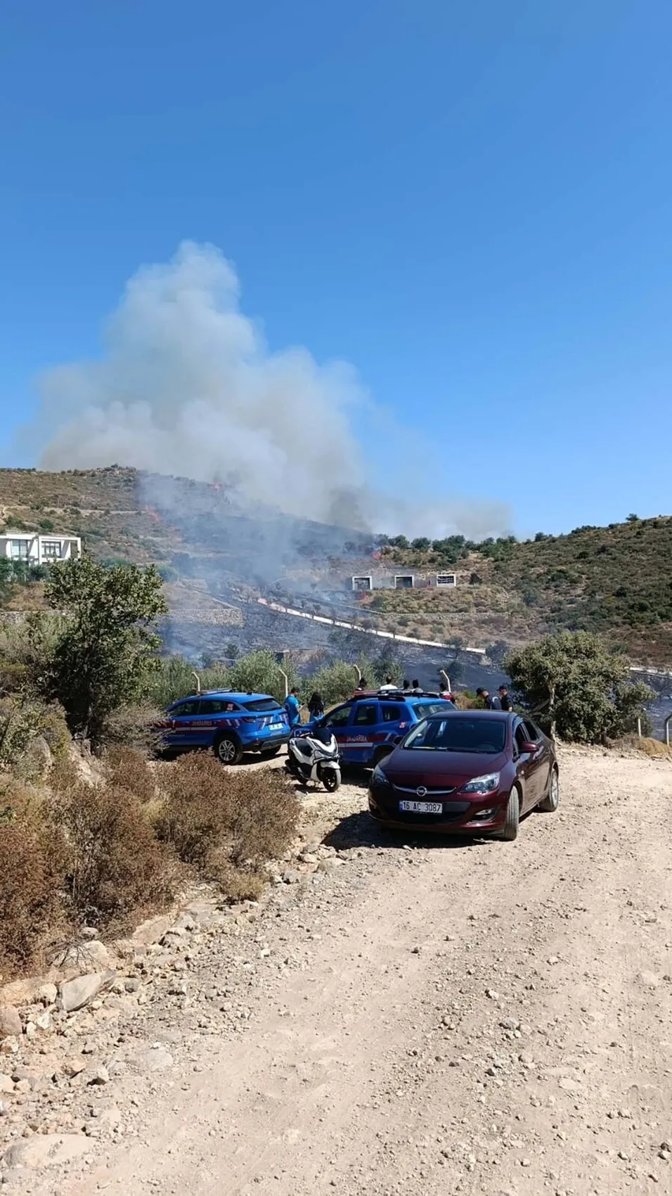 Bodrum Dereköy'de alevler otluk alanda yükseliyor