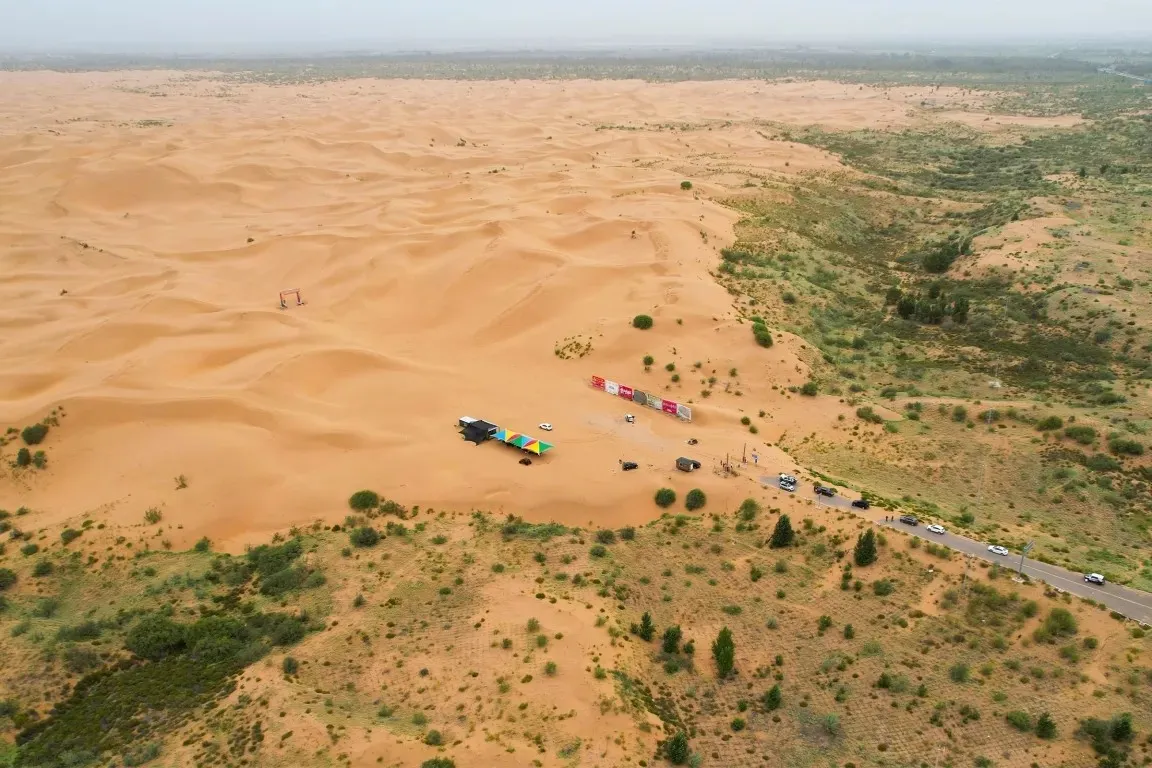 Çin'in diktiği 66 milyar ağaç bilim insanlarını şaşırttı