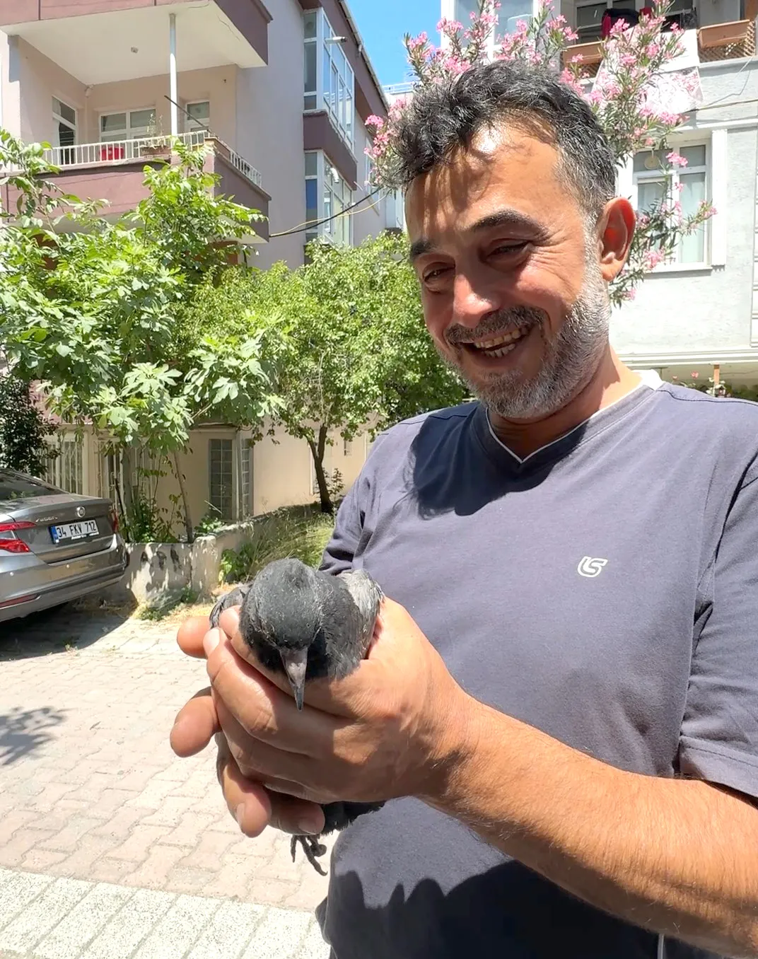 Avcılar’da bir kuşun imdadına itfaiye yetişti