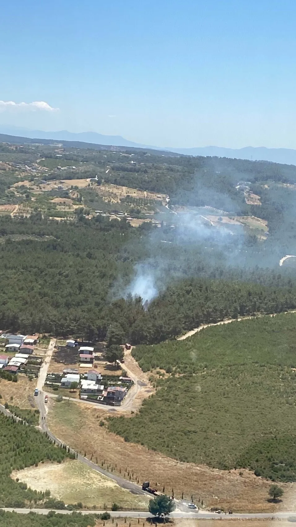 İzmir'de iki orman yangınına sebep olanlara gözaltı