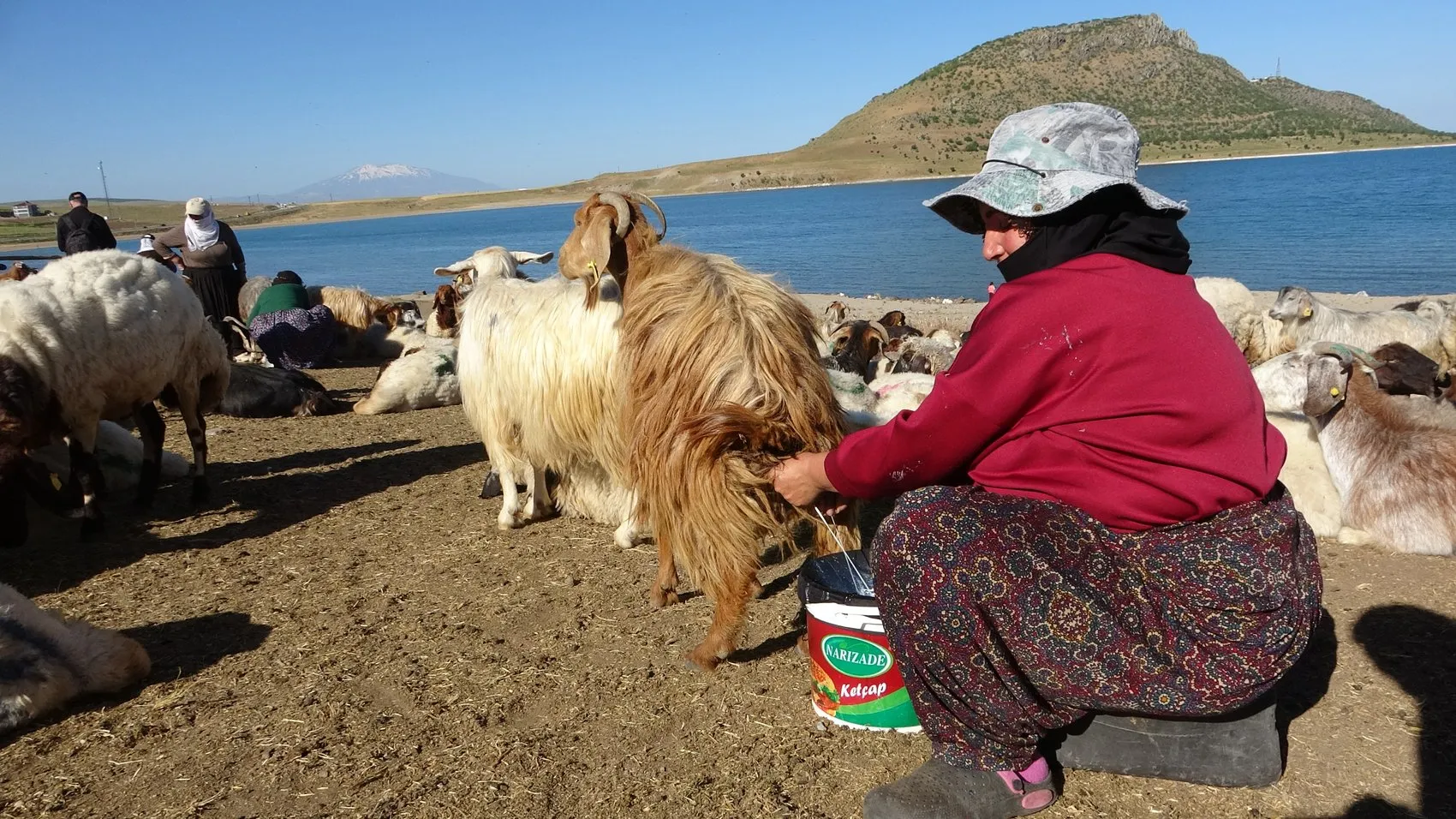 Nemrut Dağı eteklerinde her gün tekrarlanan o görkemli yolculuk