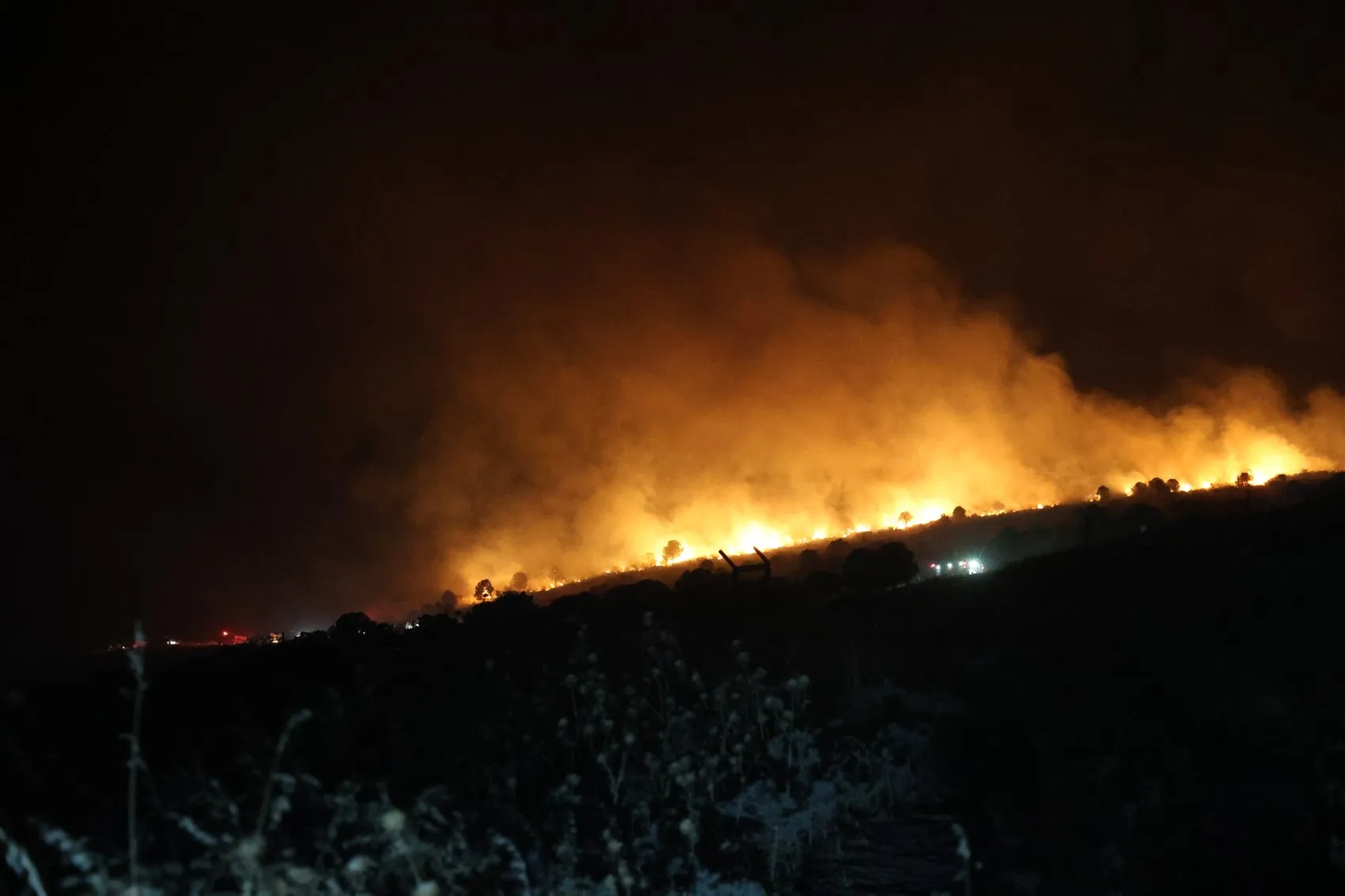Menemen'de gece yarısı başlayan makilik yangınına TOMA destekli müdahale