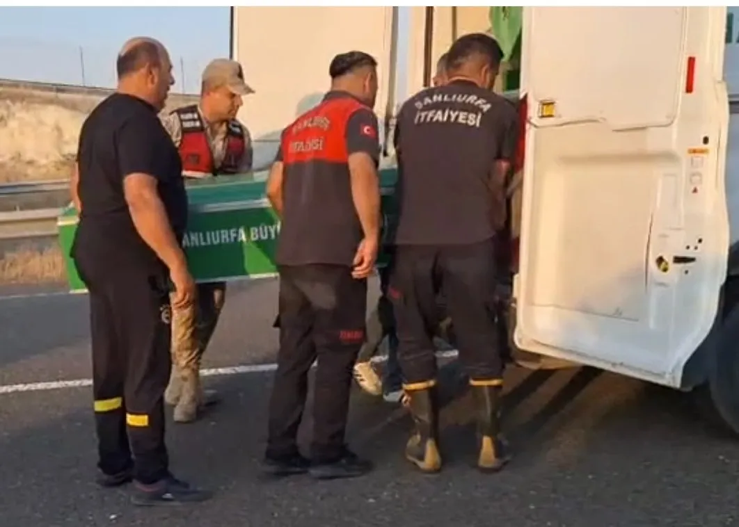 Gezi dönüşü faciaya dönüştü Şanlıurfa’da 3 can kaybı
