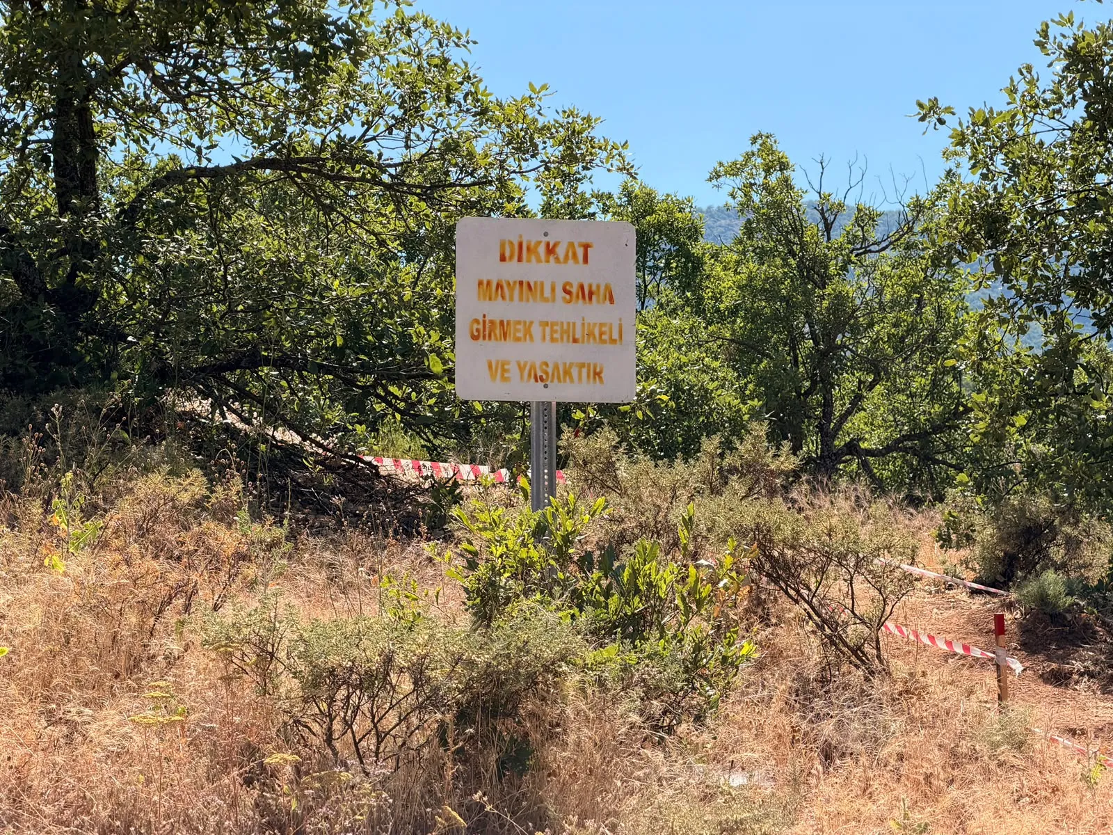 Tunceli’nin dağları 30 yıllık mayınlardan temizleniyor