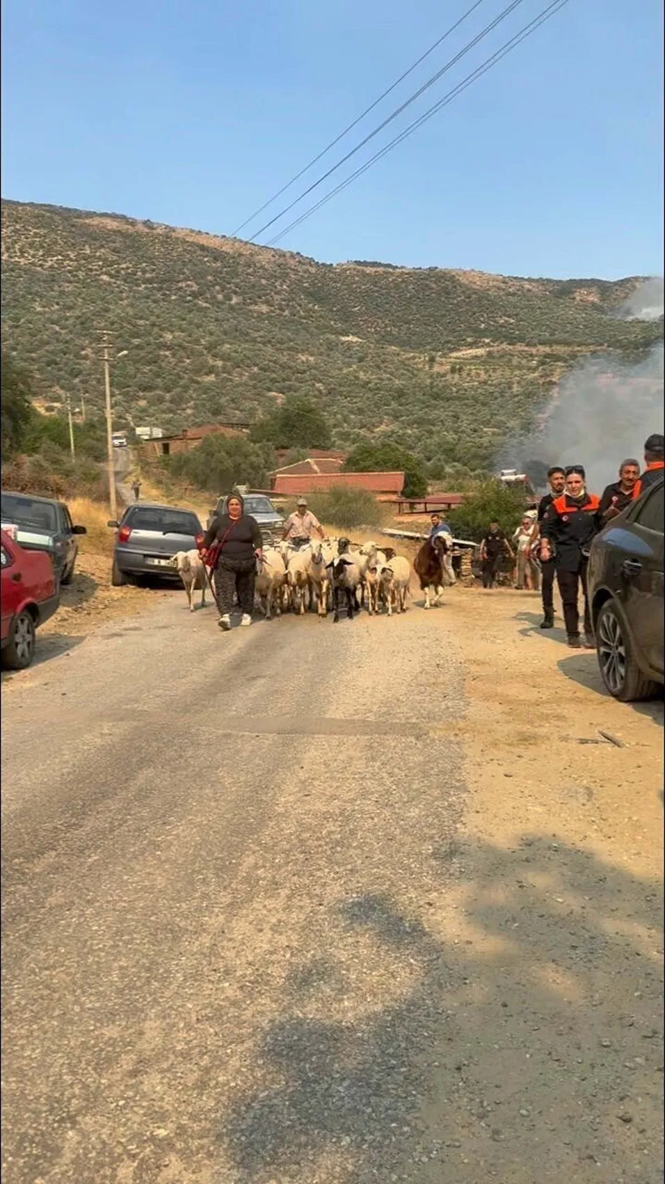 Aydın’da bir tarım arazisi küle döndü
