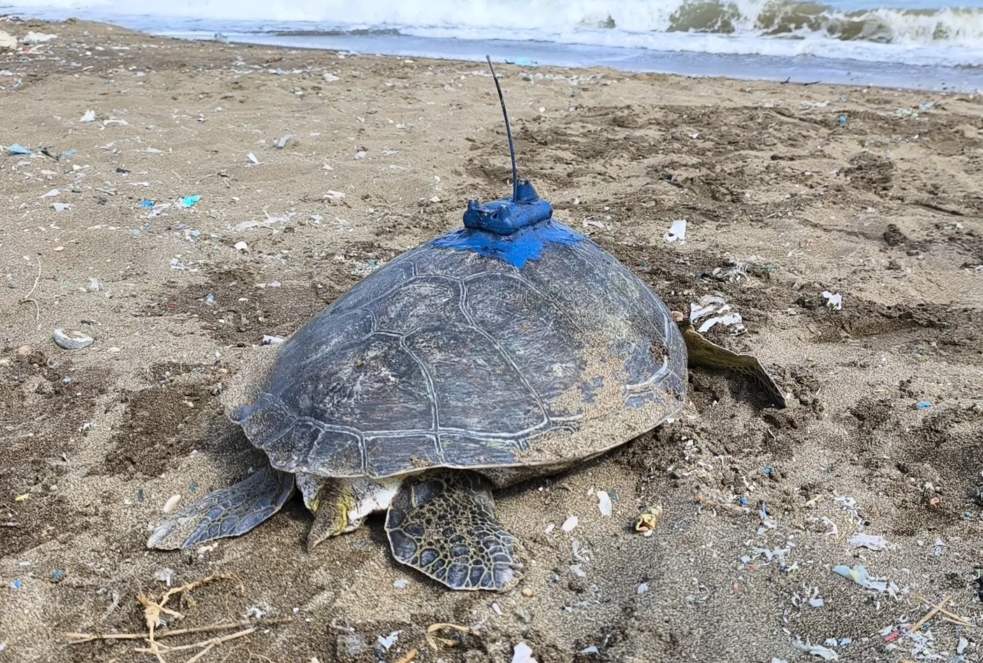Mersin ve Göksu artık uydudan takip edilecek