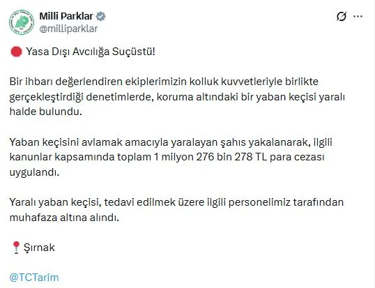 Yaban keçisini vuran avcıya rekor ceza